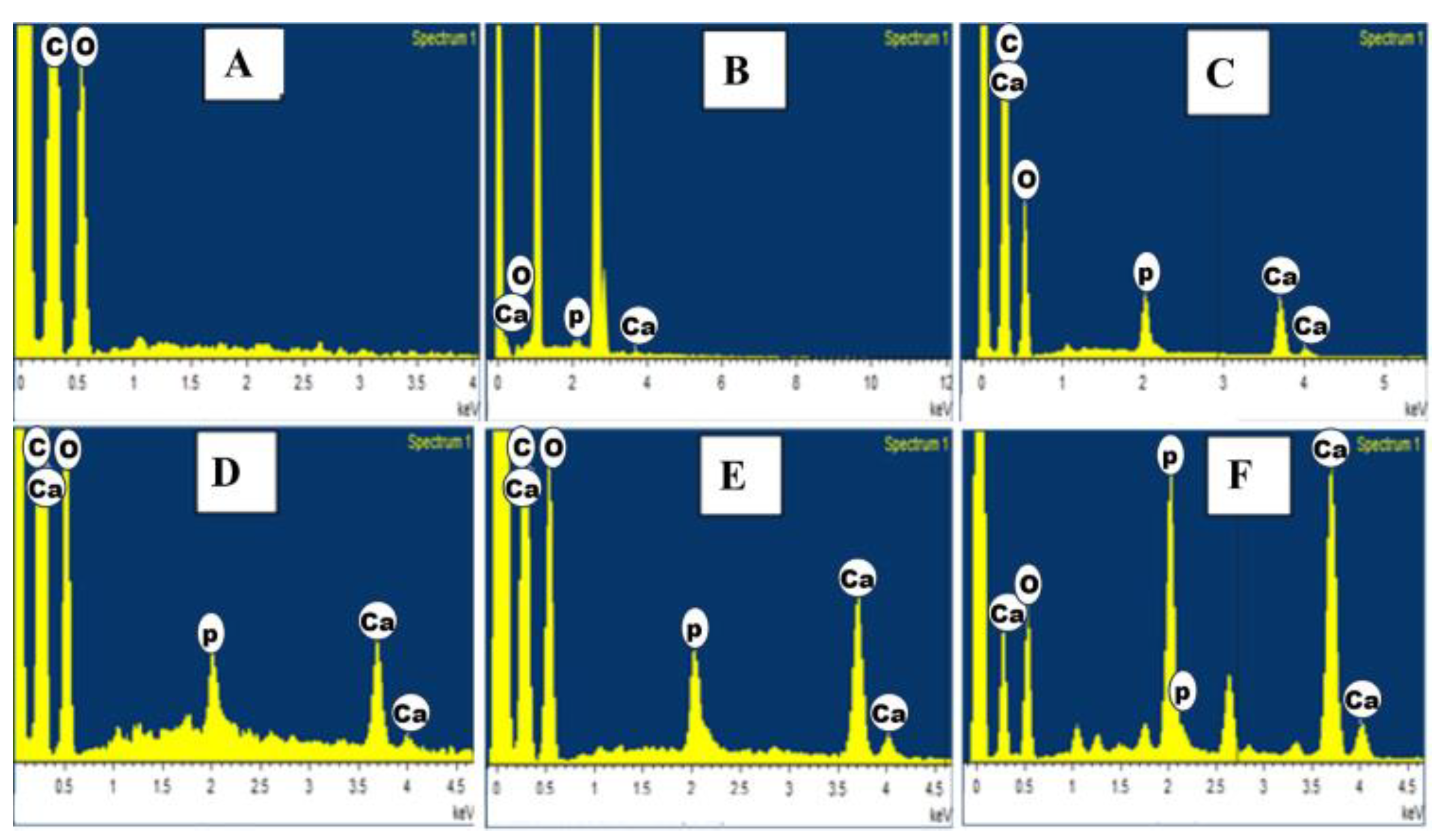 Polymers 16 02023 g006