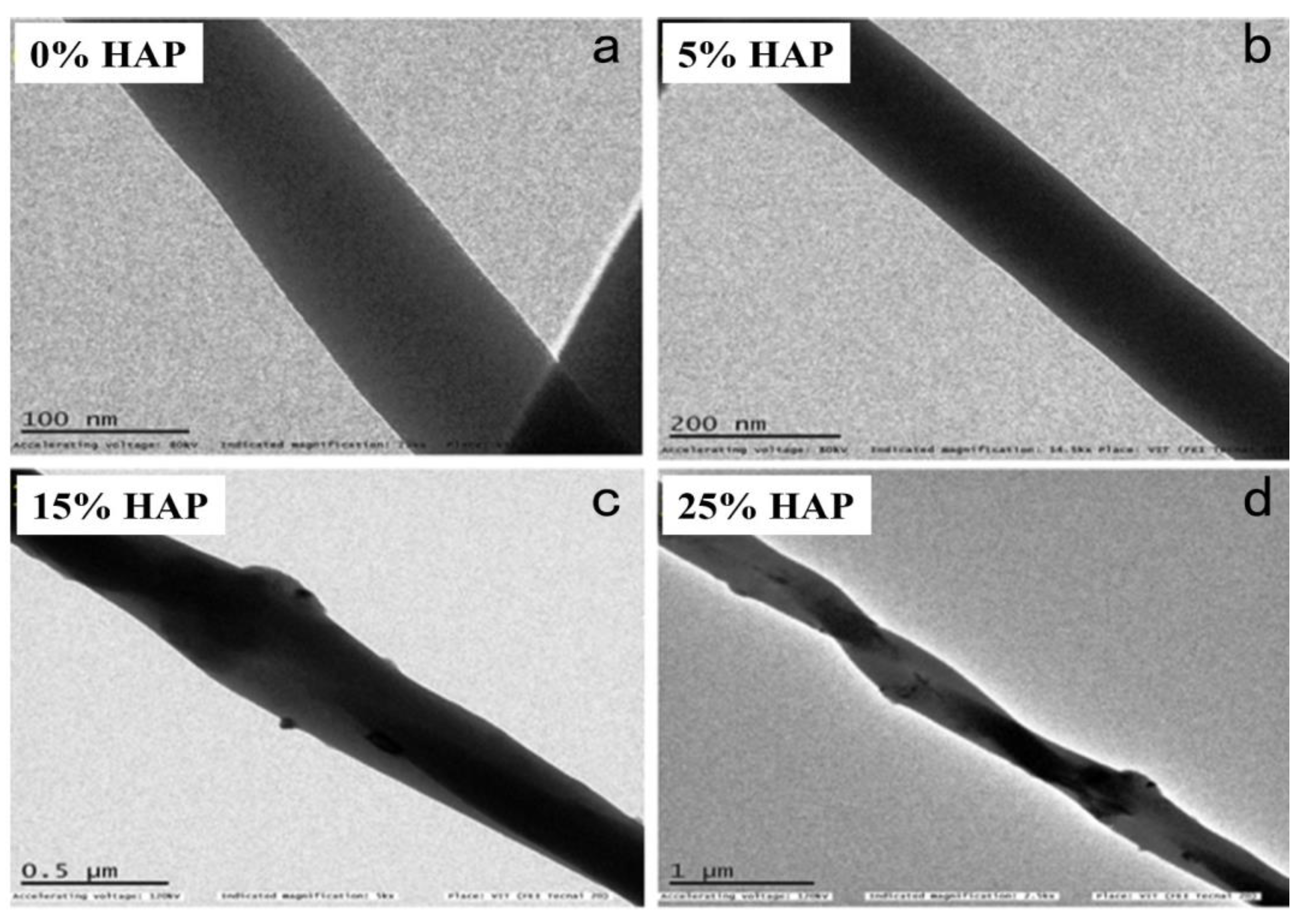 Polymers 16 02023 g007
