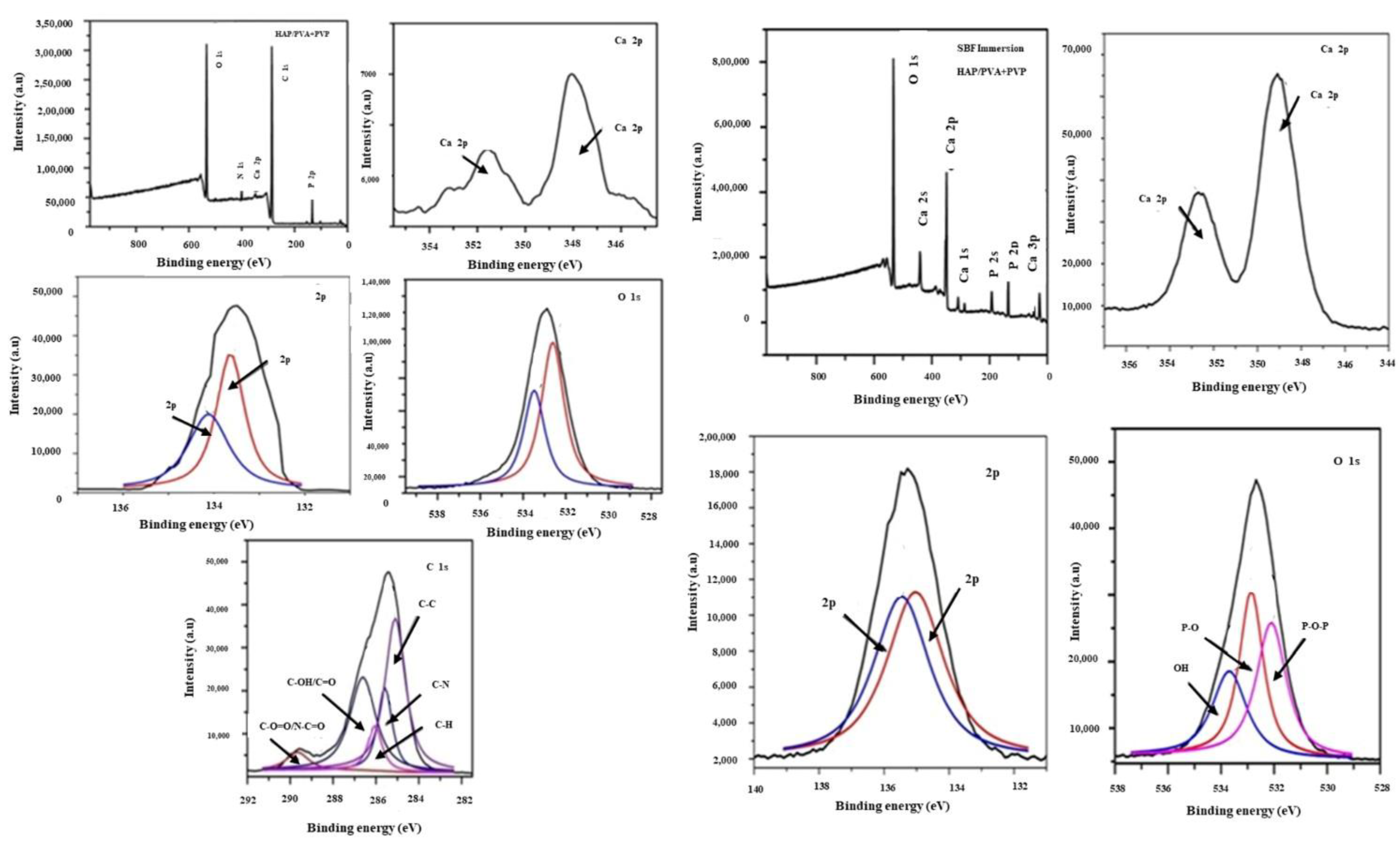 Polymers 16 02023 g010