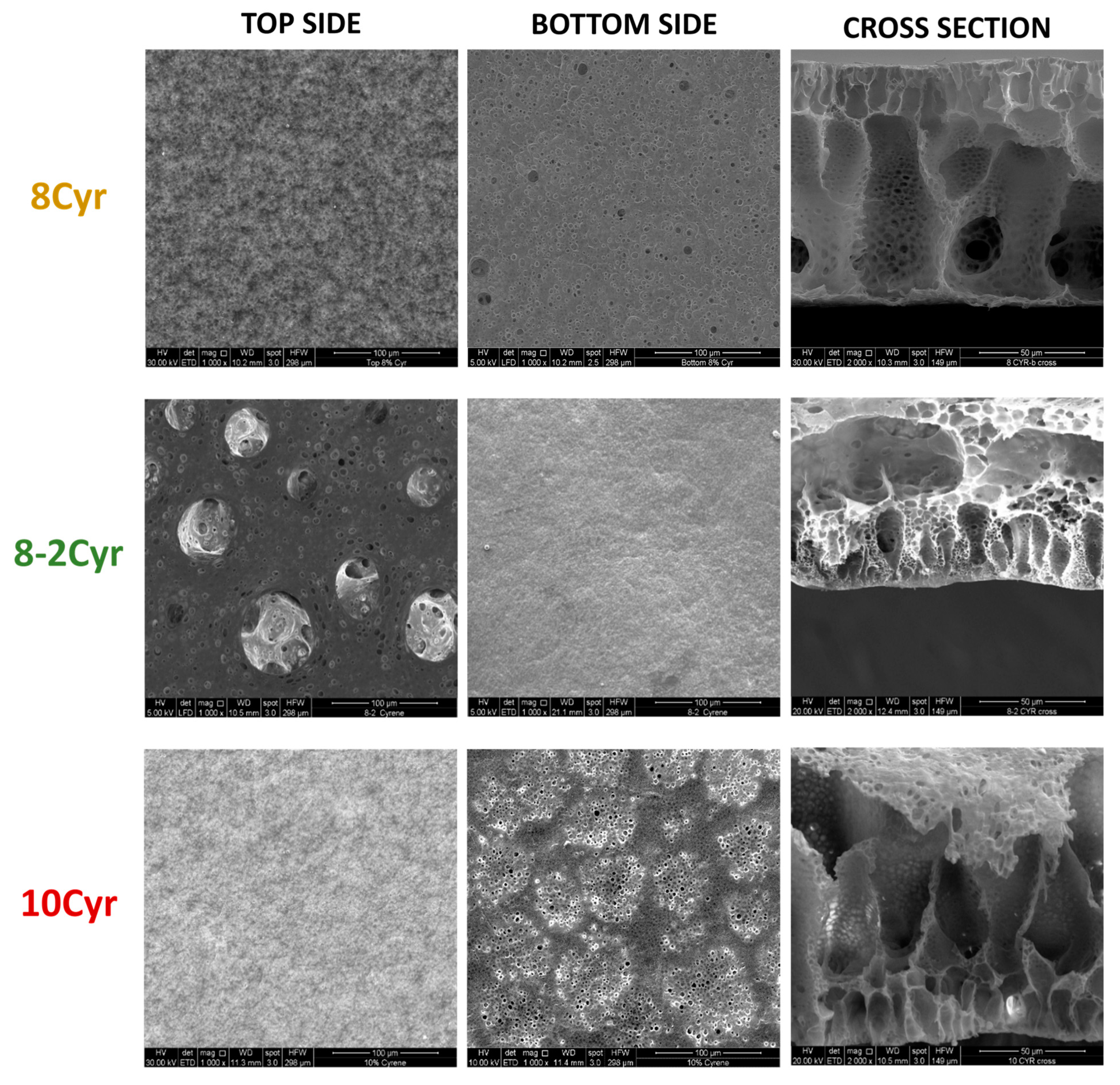 Polymers 16 02024 g001a
