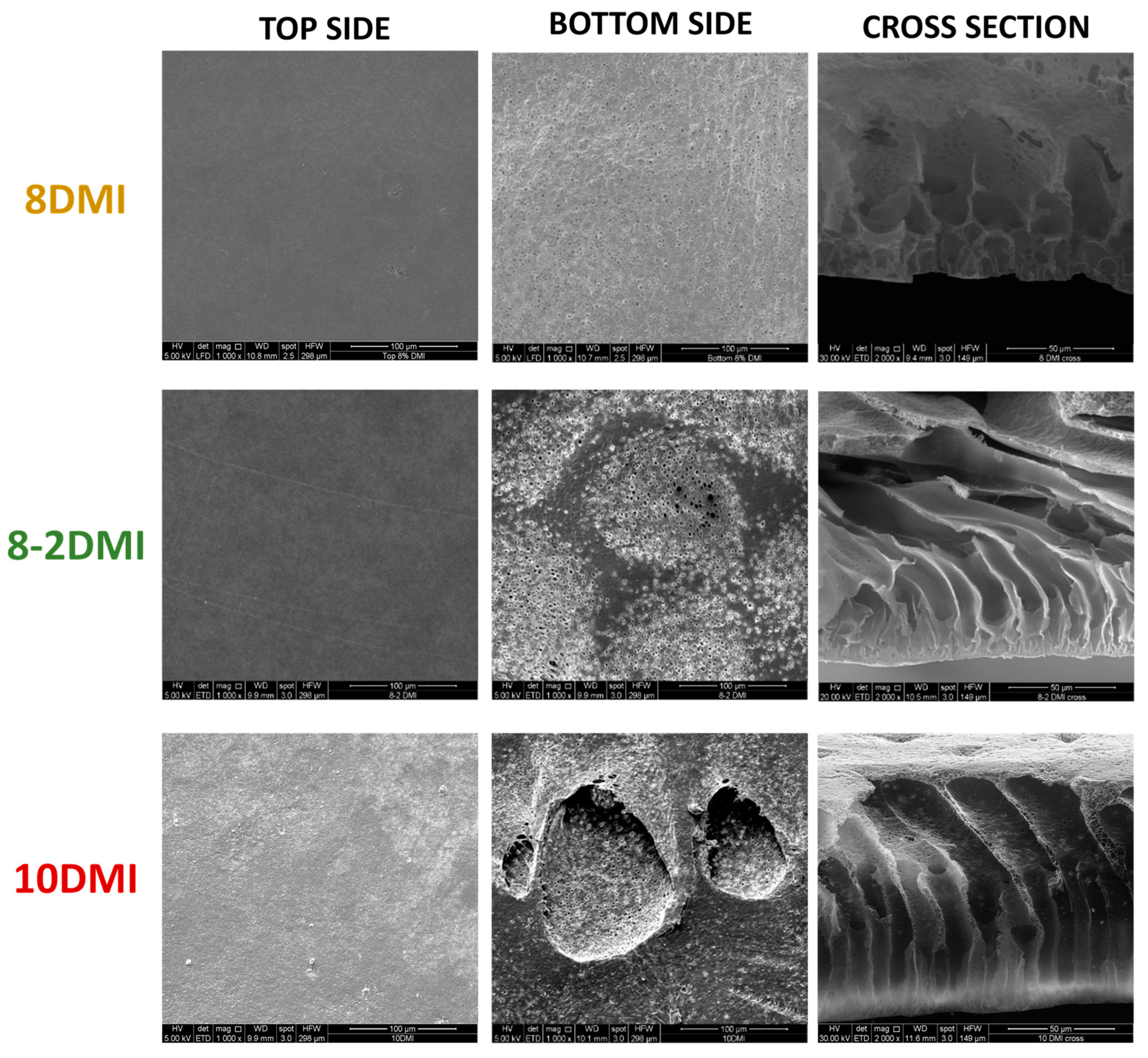 Polymers 16 02024 g001b