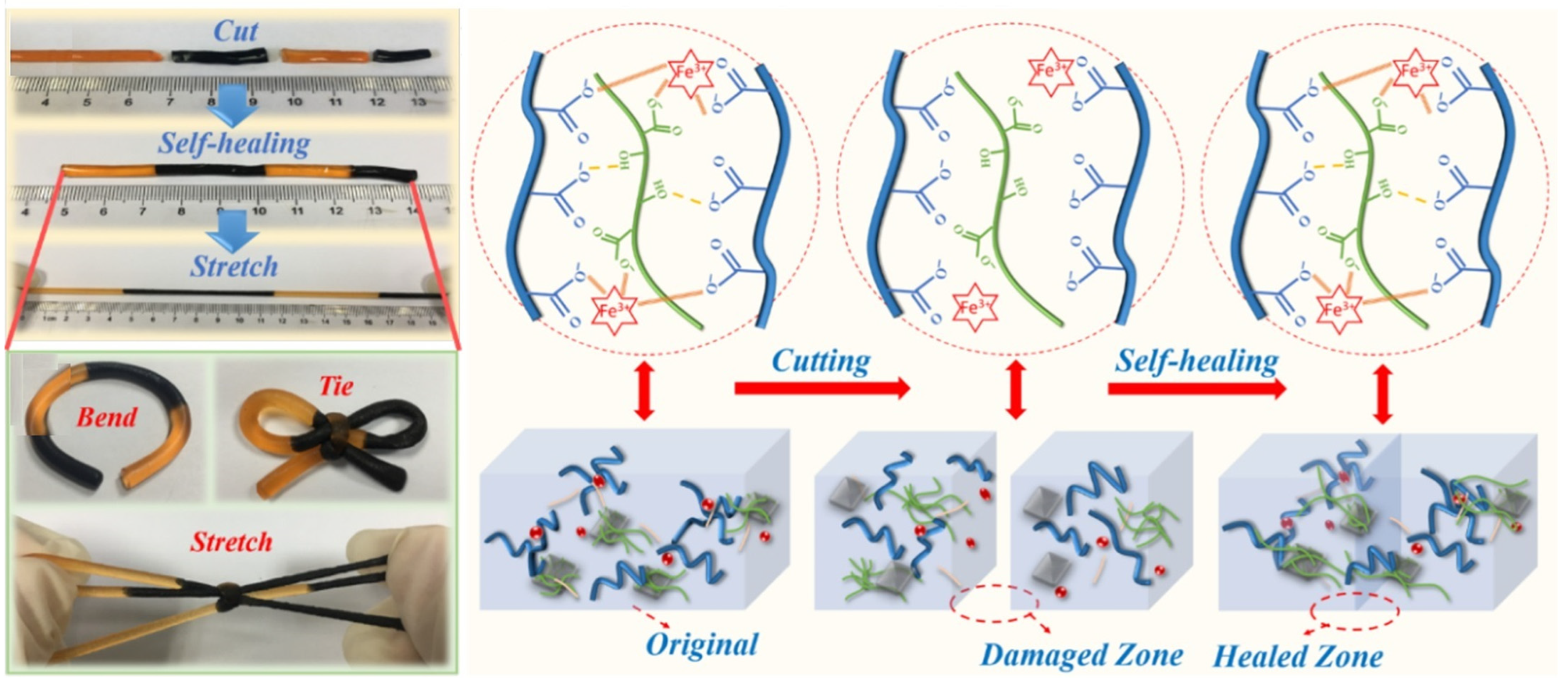 Polymers 16 02030 g001