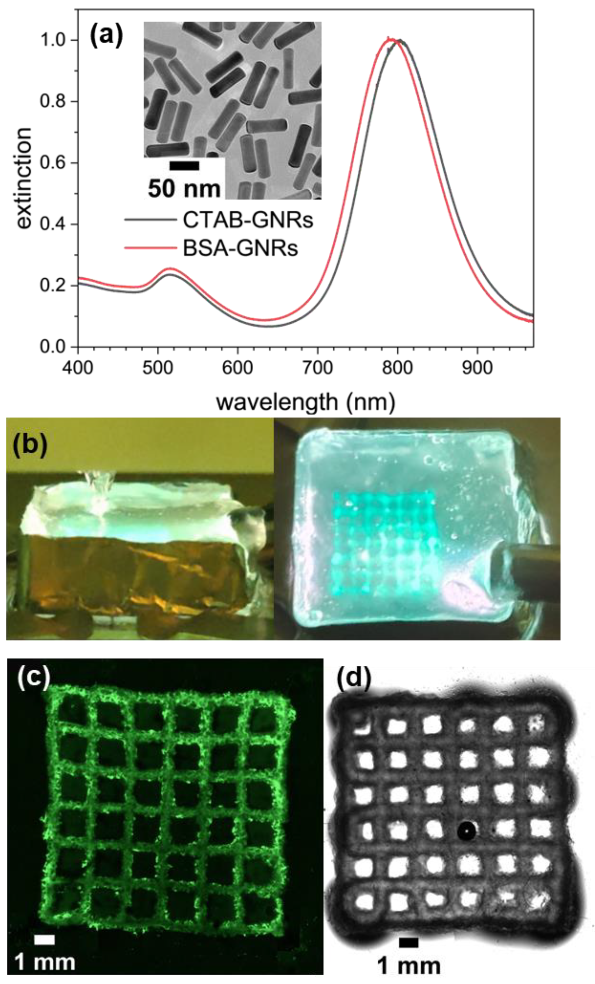 Polymers 16 02032 g002