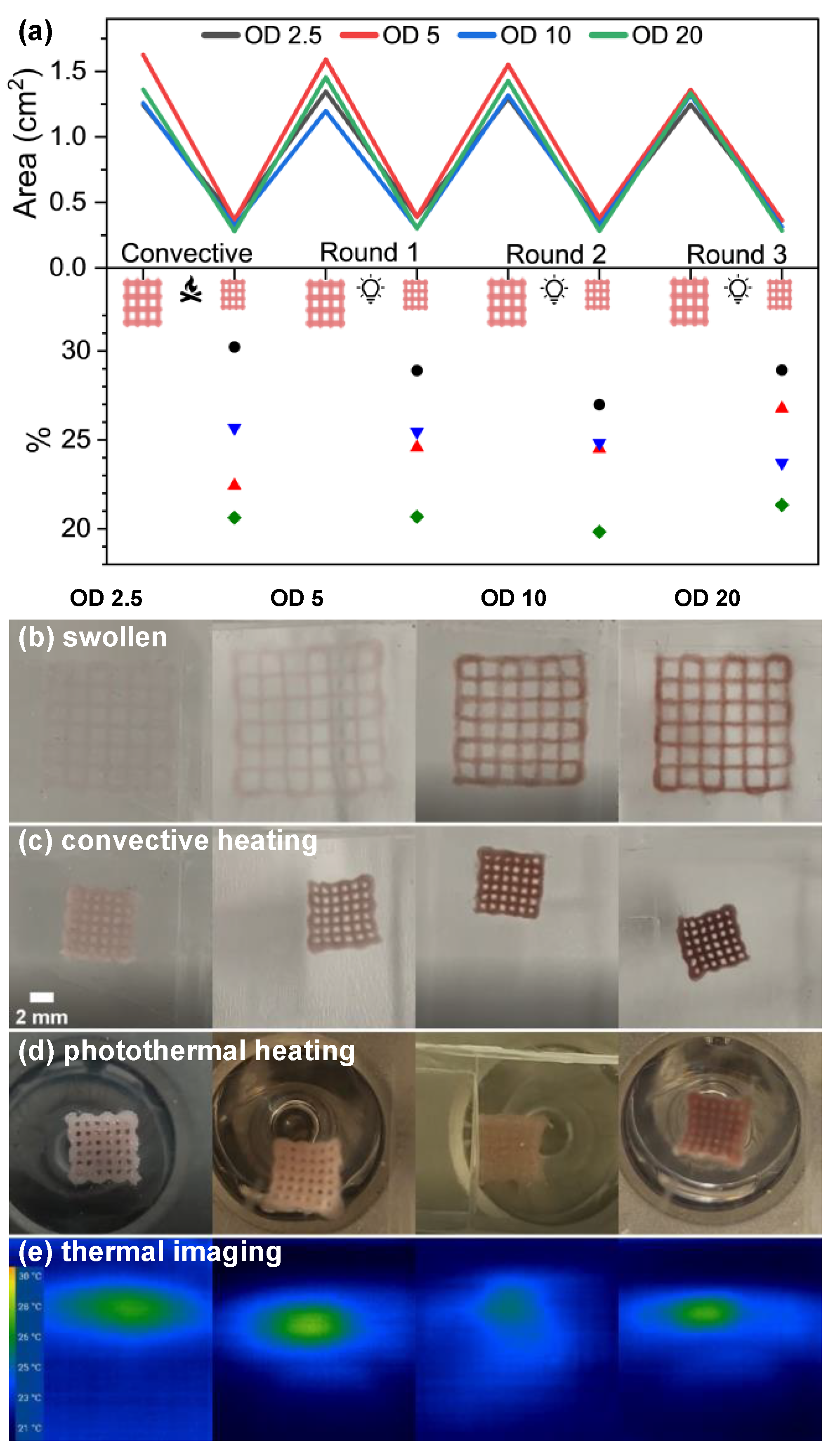 Polymers 16 02032 g003