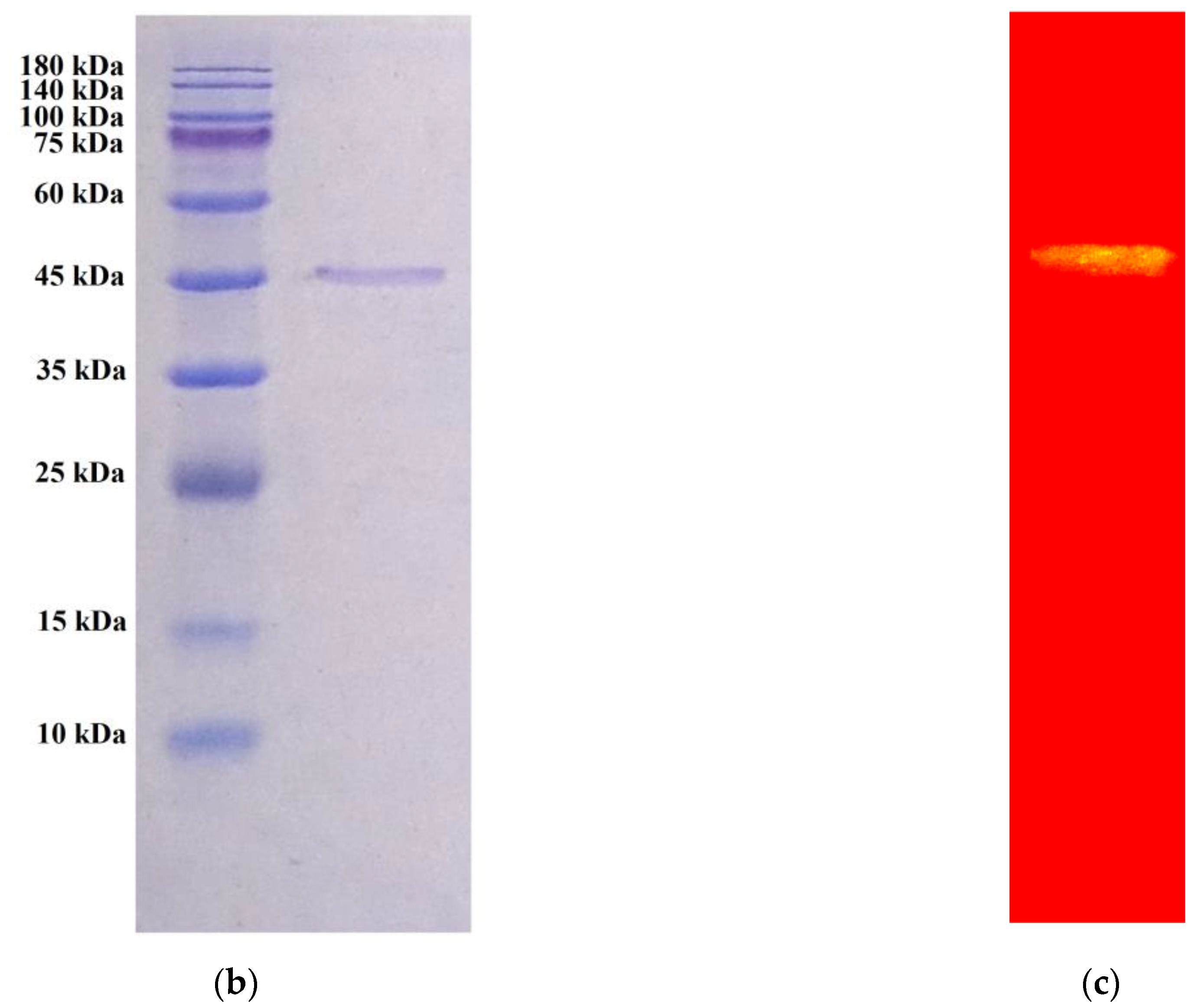Polymers 16 02037 g002b