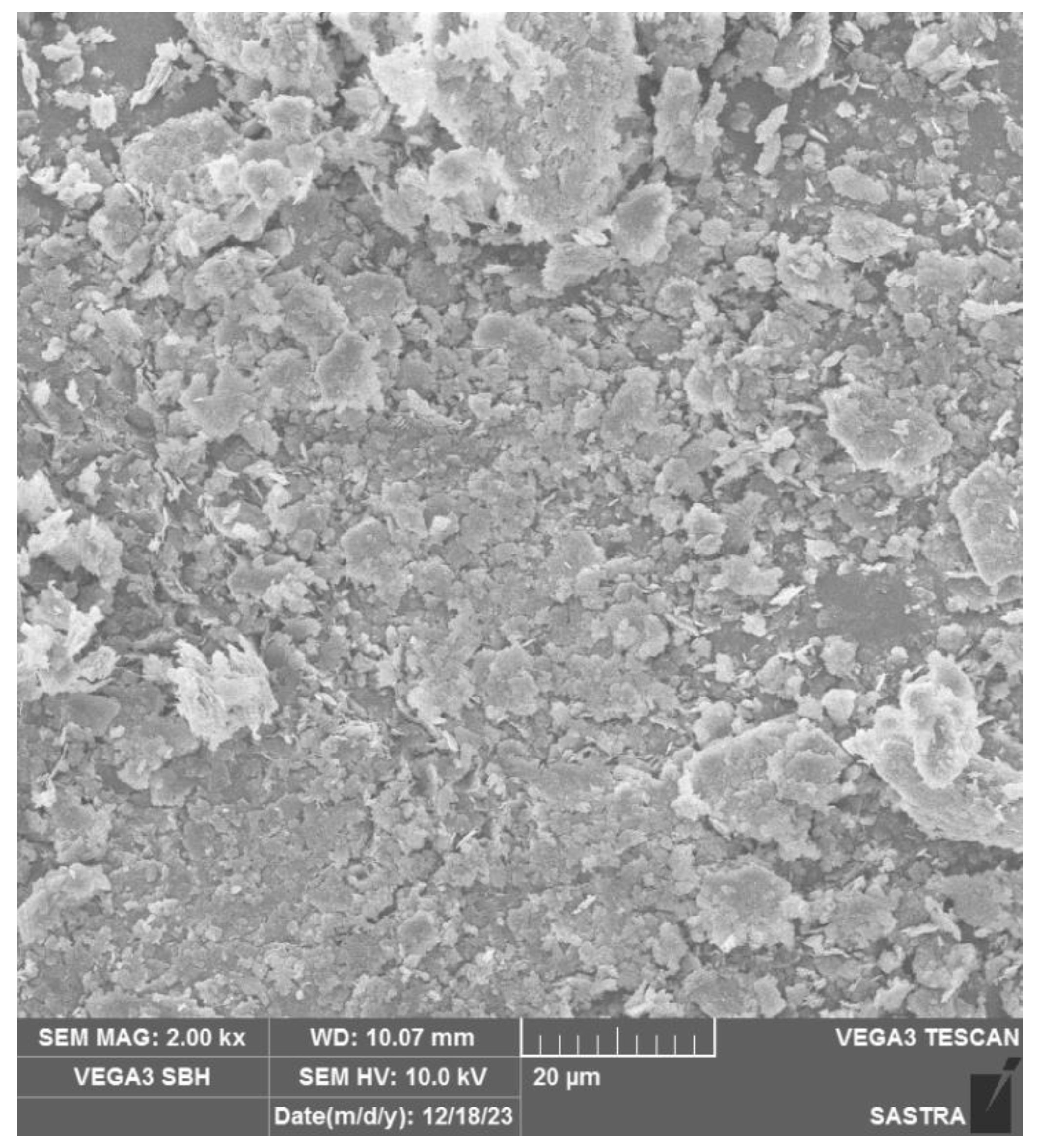 Polymers 16 02043 g002