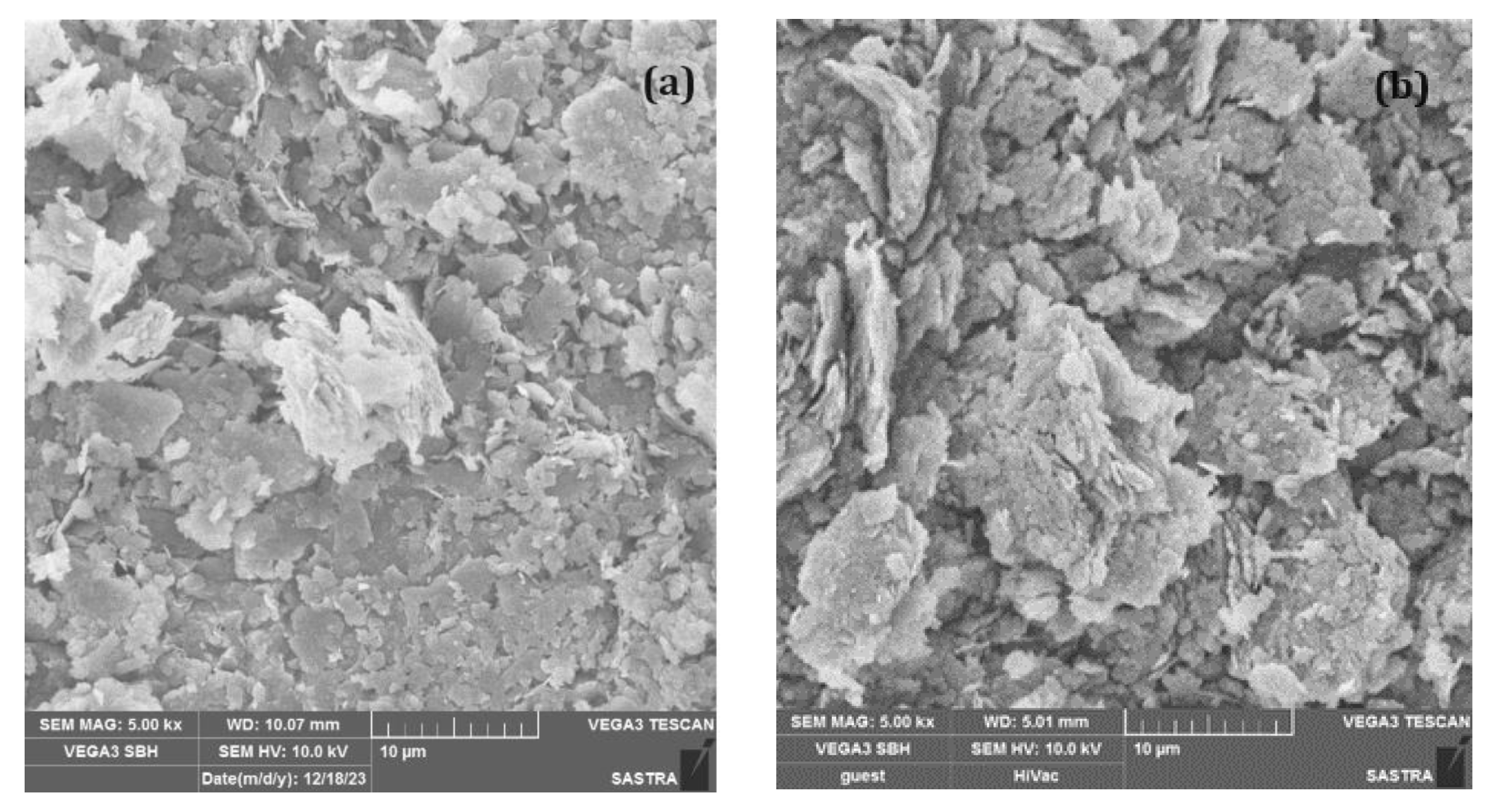 Polymers 16 02043 g011