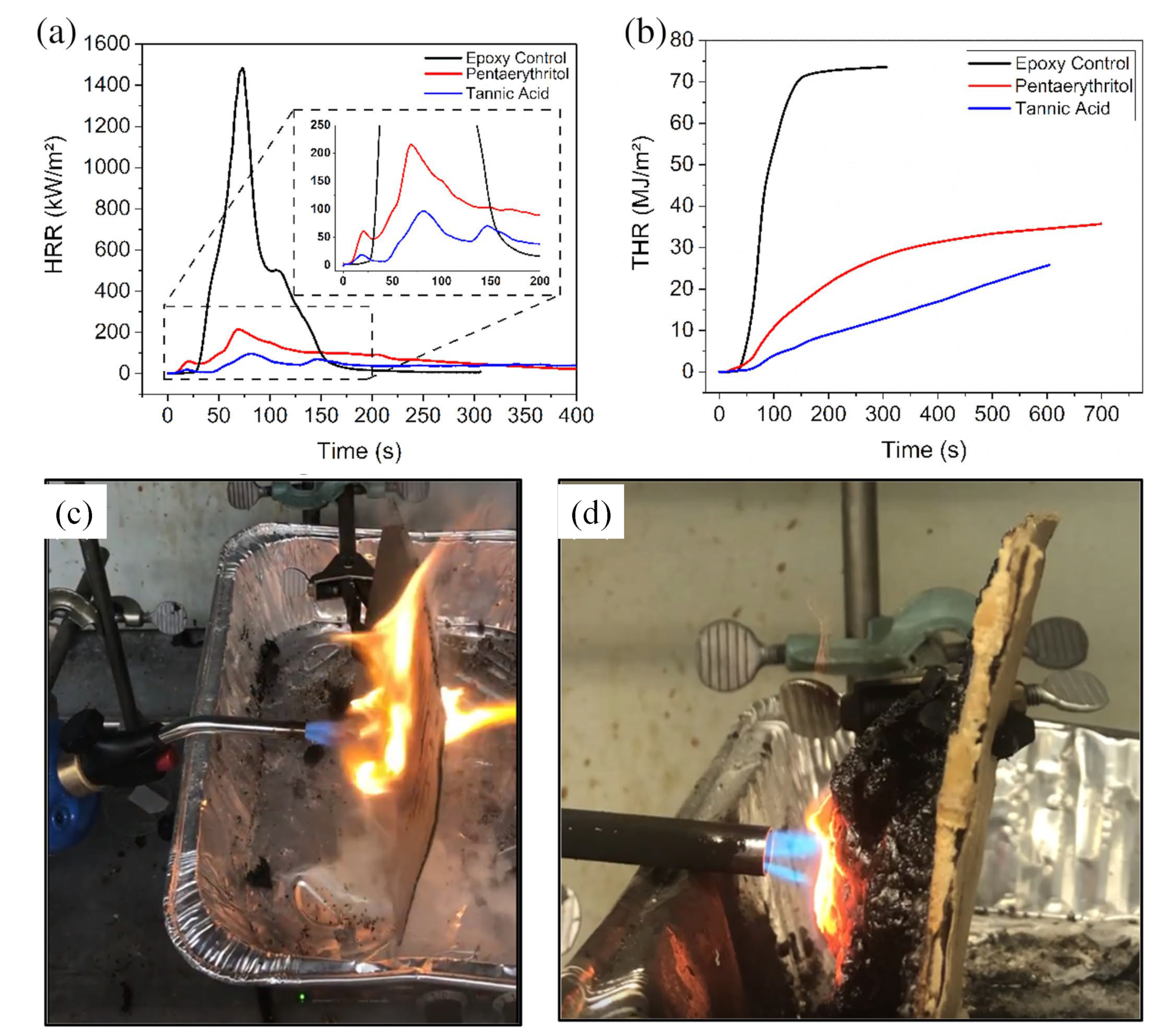 Polymers 16 02045 g006