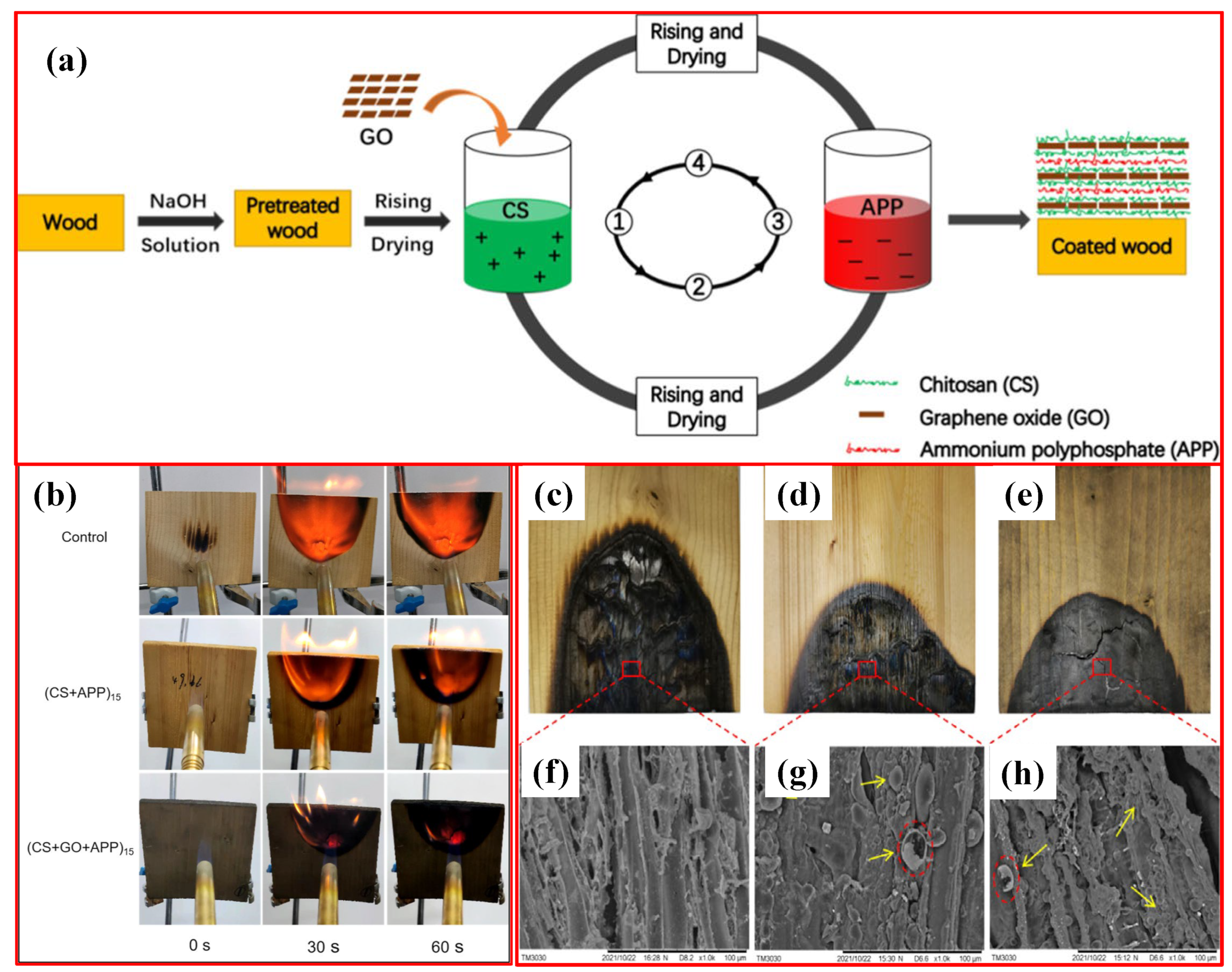 Polymers 16 02045 g007