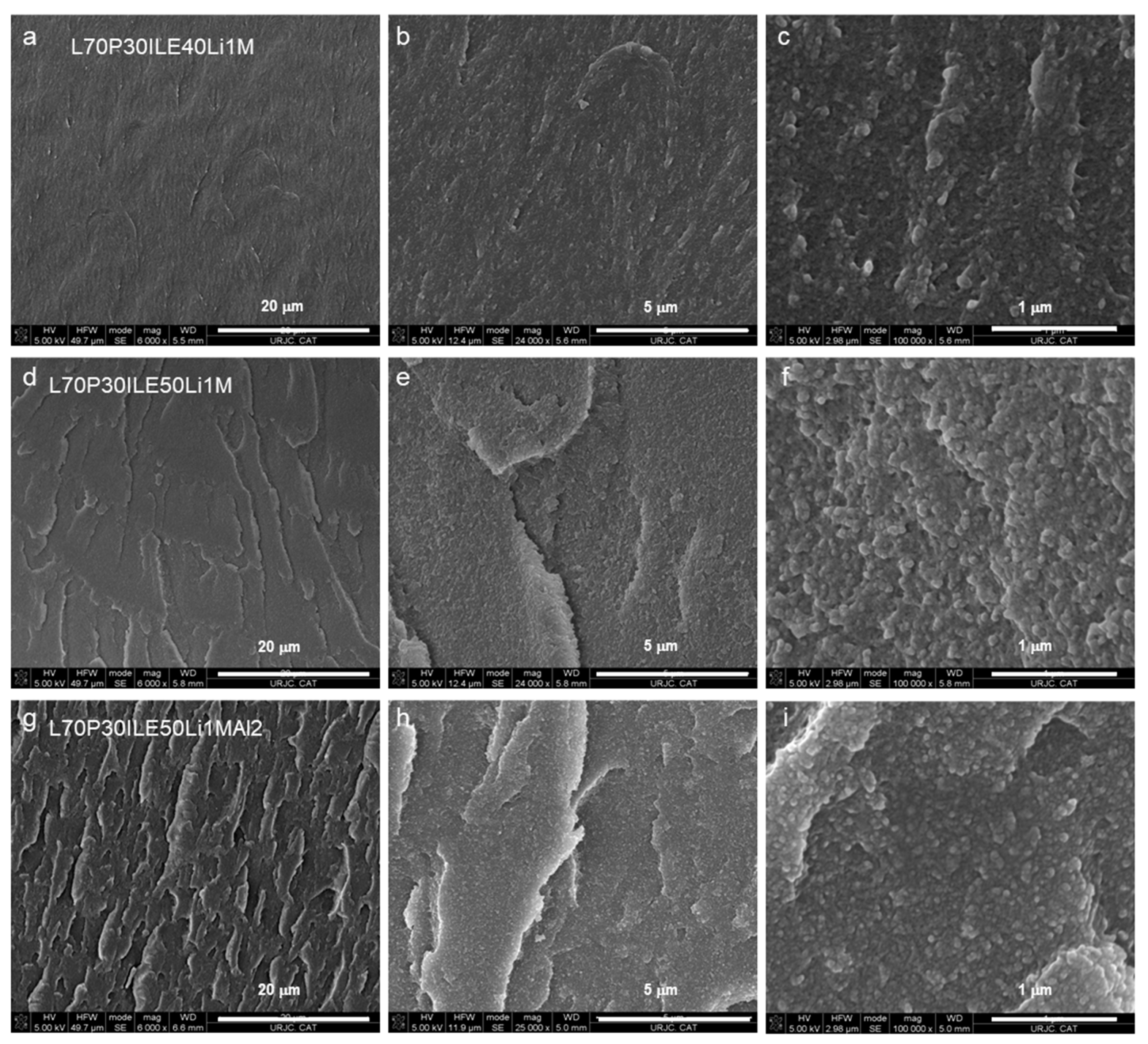 Polymers 16 02048 g004
