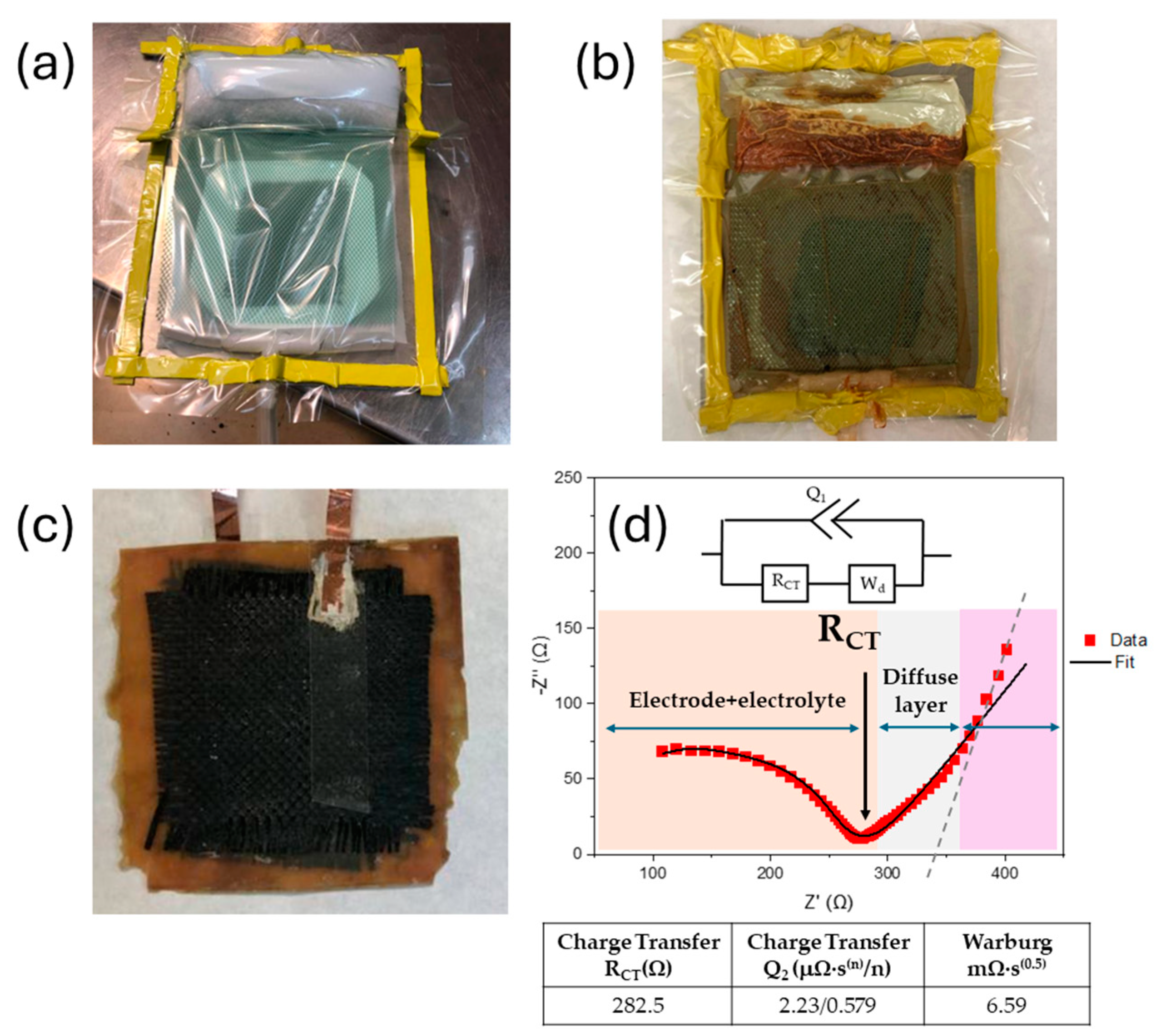 Polymers 16 02048 g007