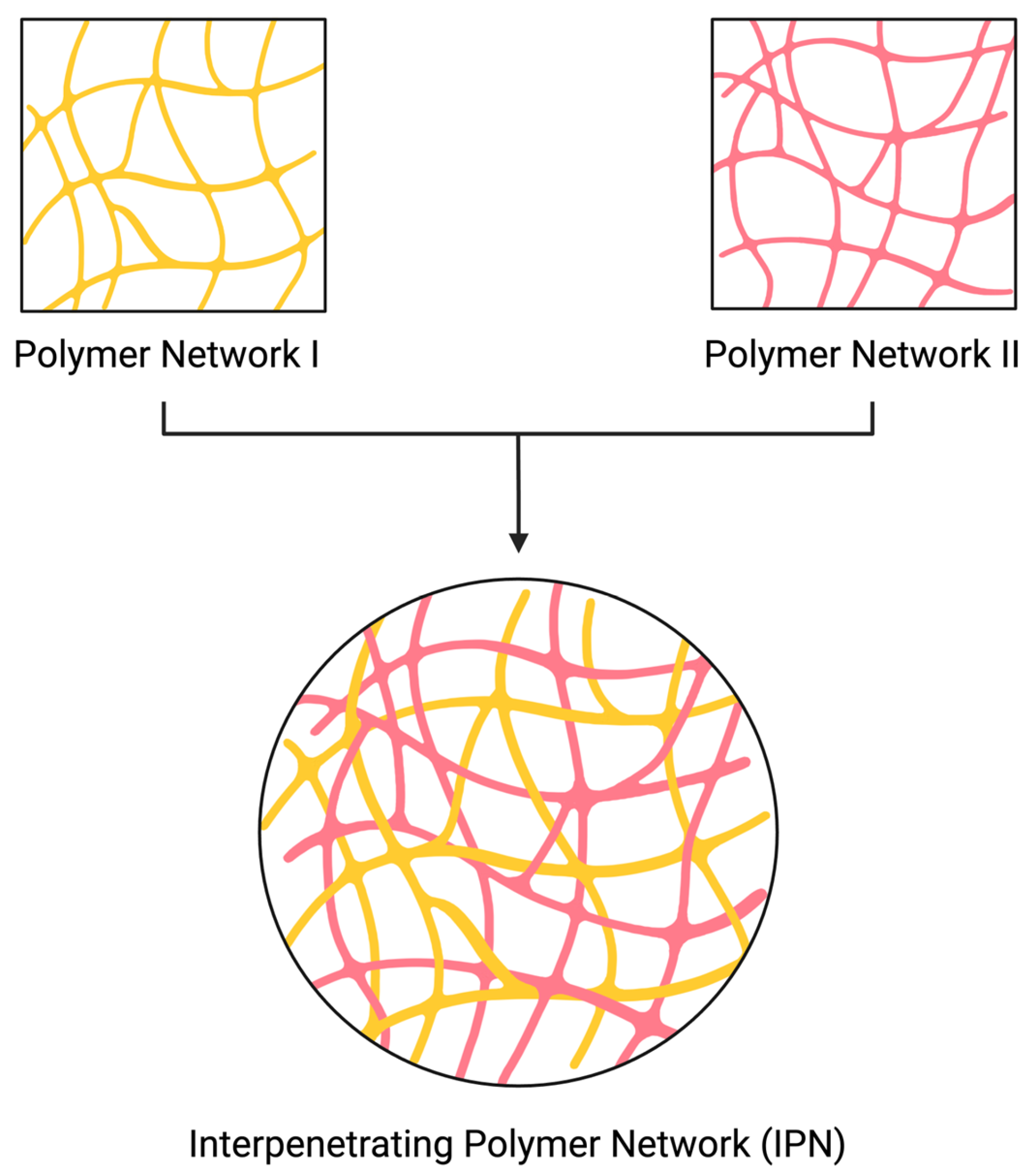 Polymers 16 02050 g001