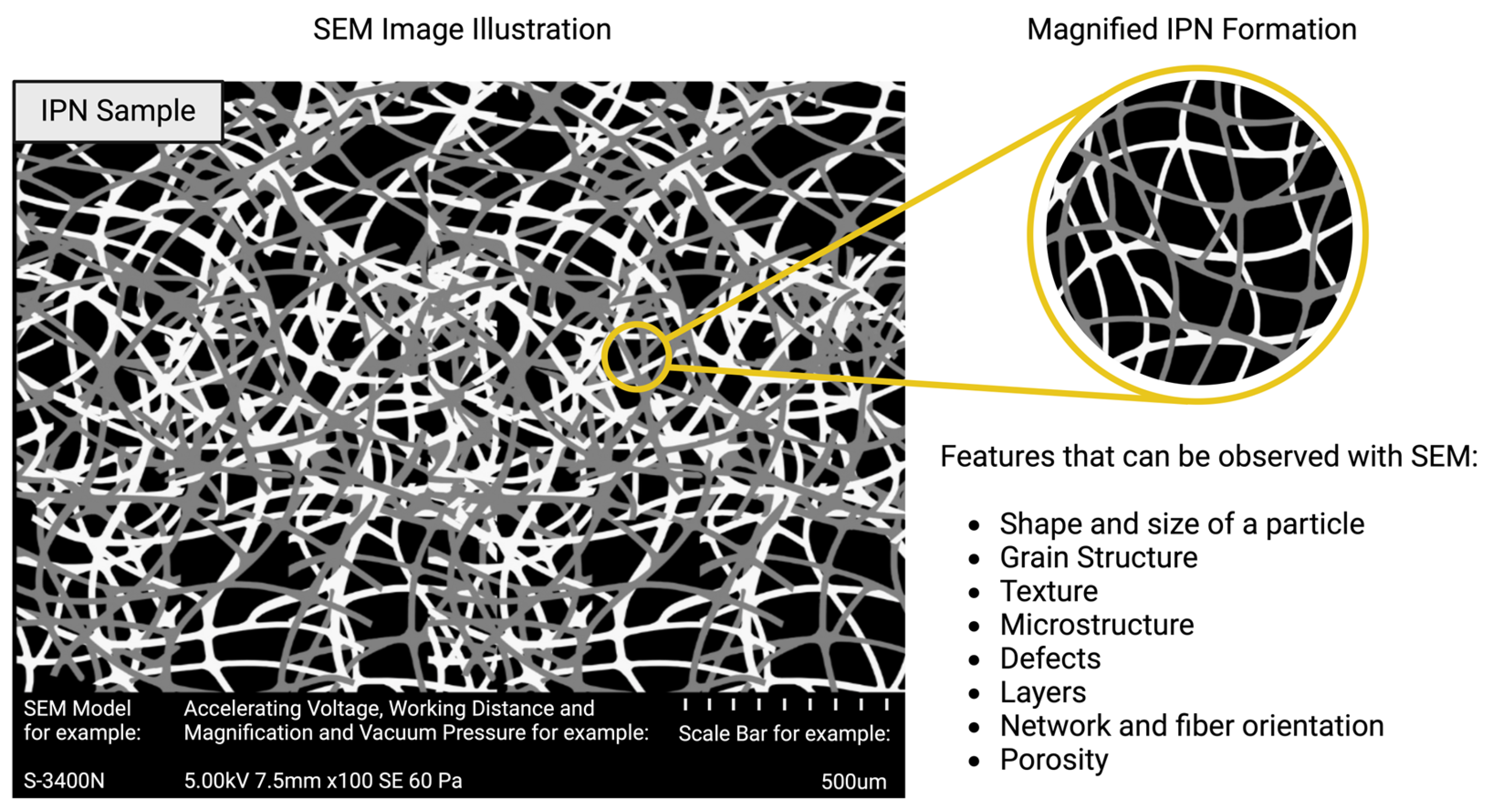 Polymers 16 02050 g006