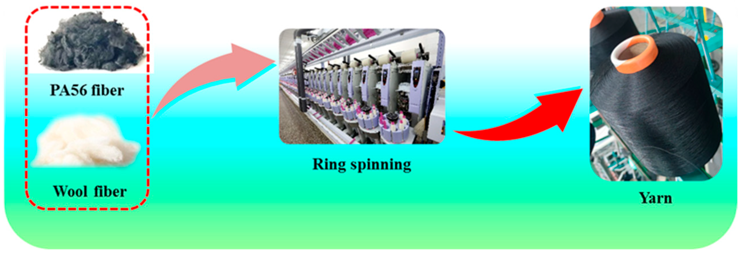 Polymers 16 02052 g002