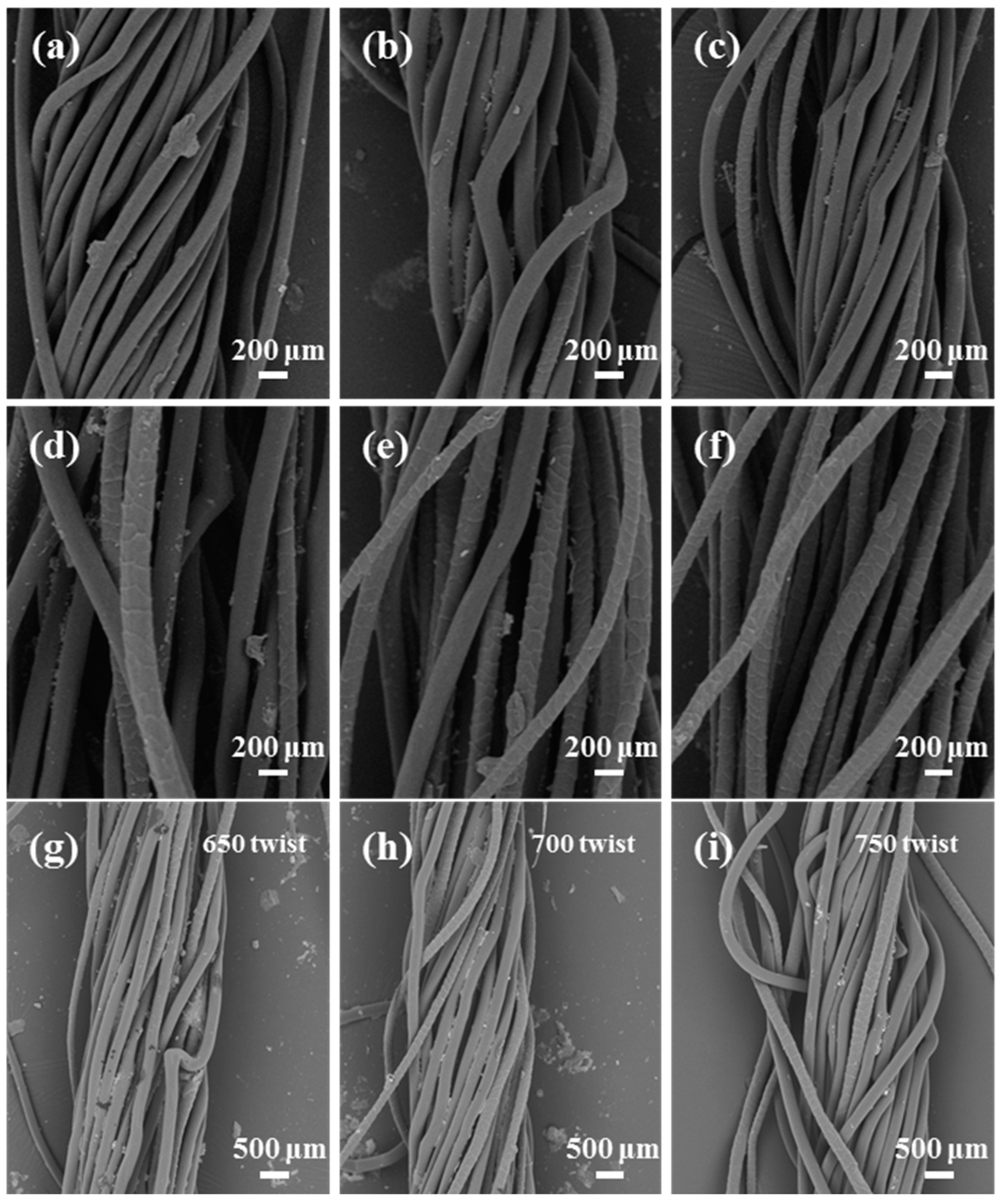 Polymers 16 02052 g005