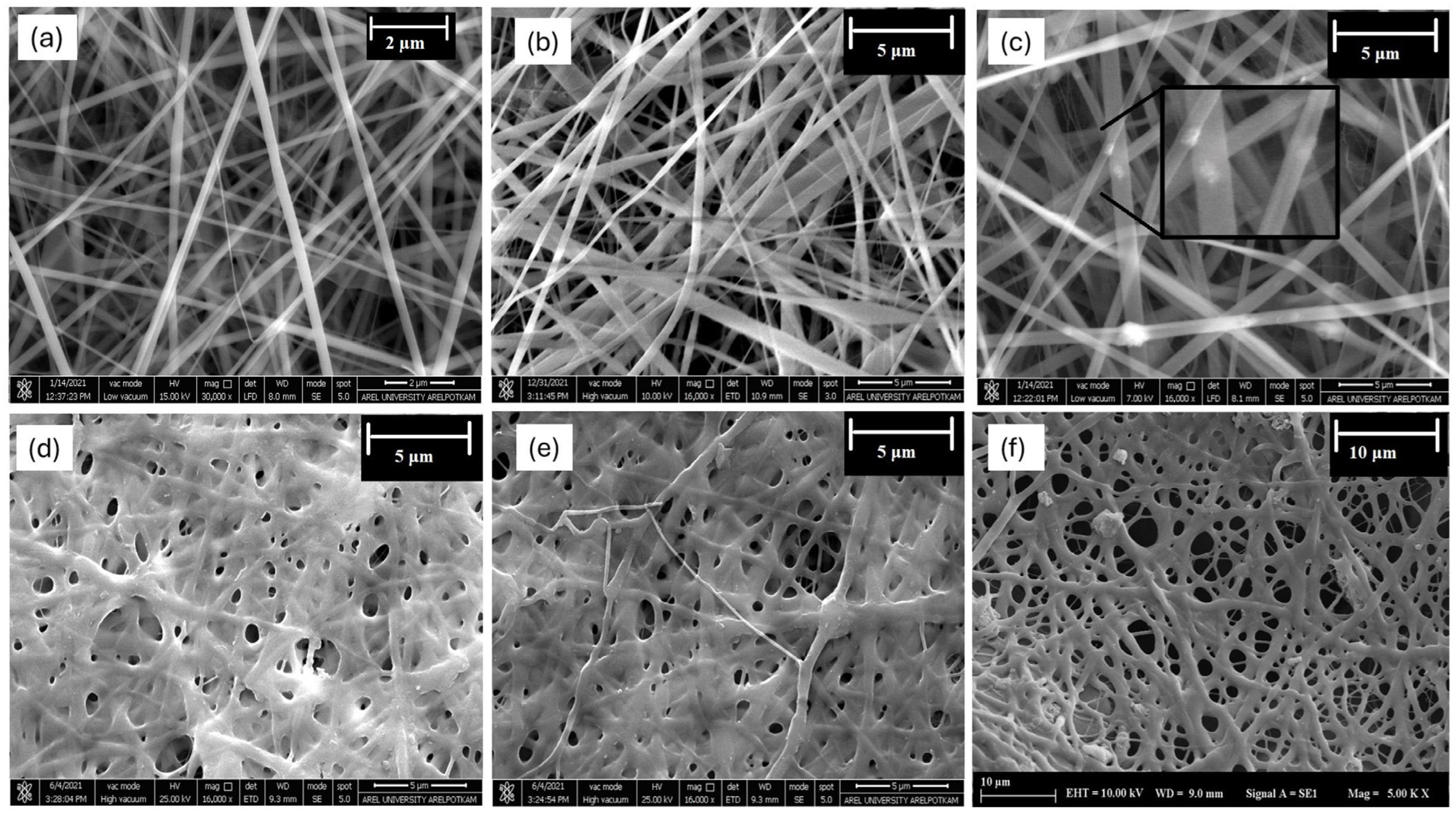 Polymers 16 02066 g004 Polymers 16 02066 g004