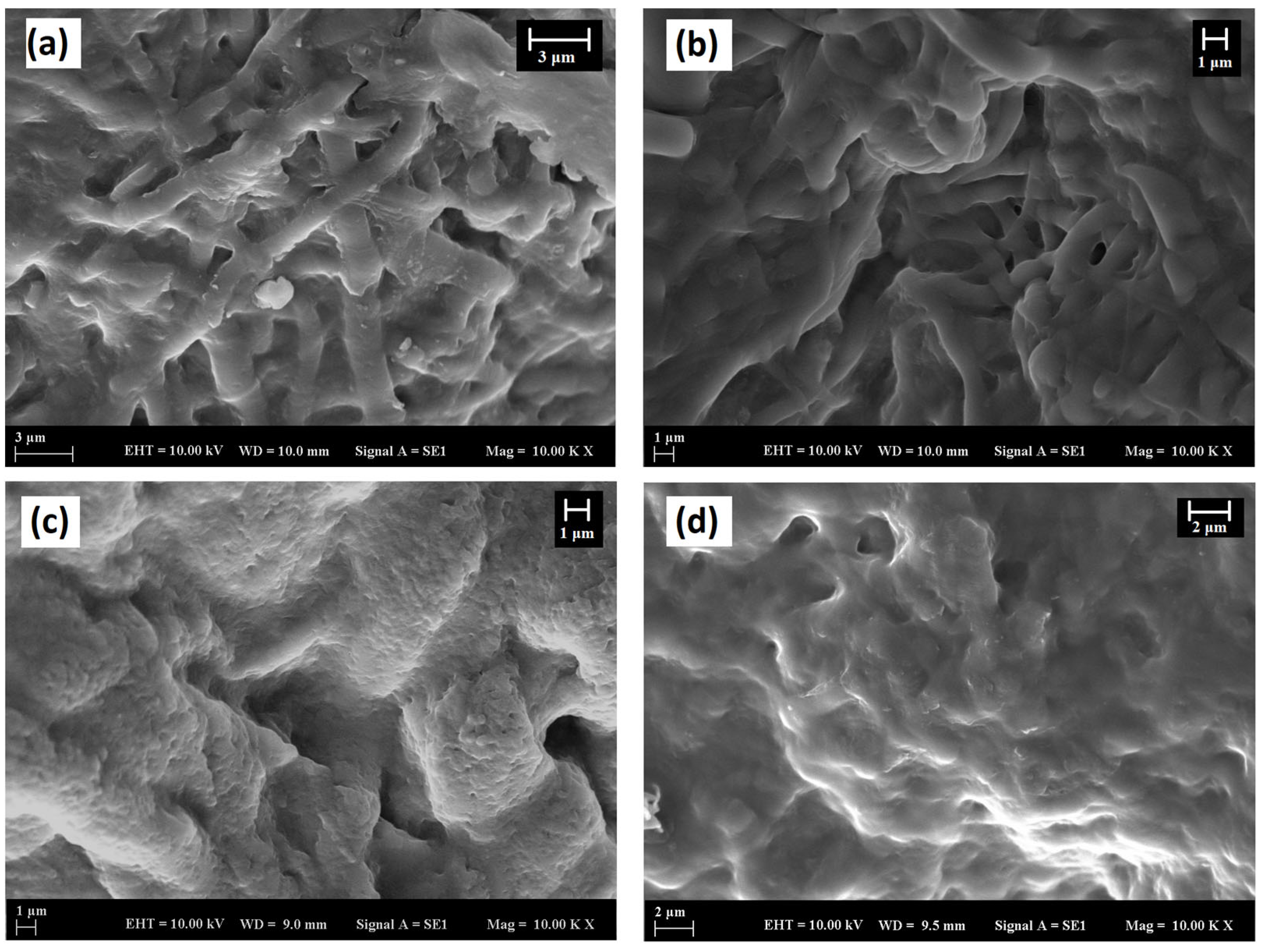 Polymers 16 02066 g007 Polymers 16 02066 g007