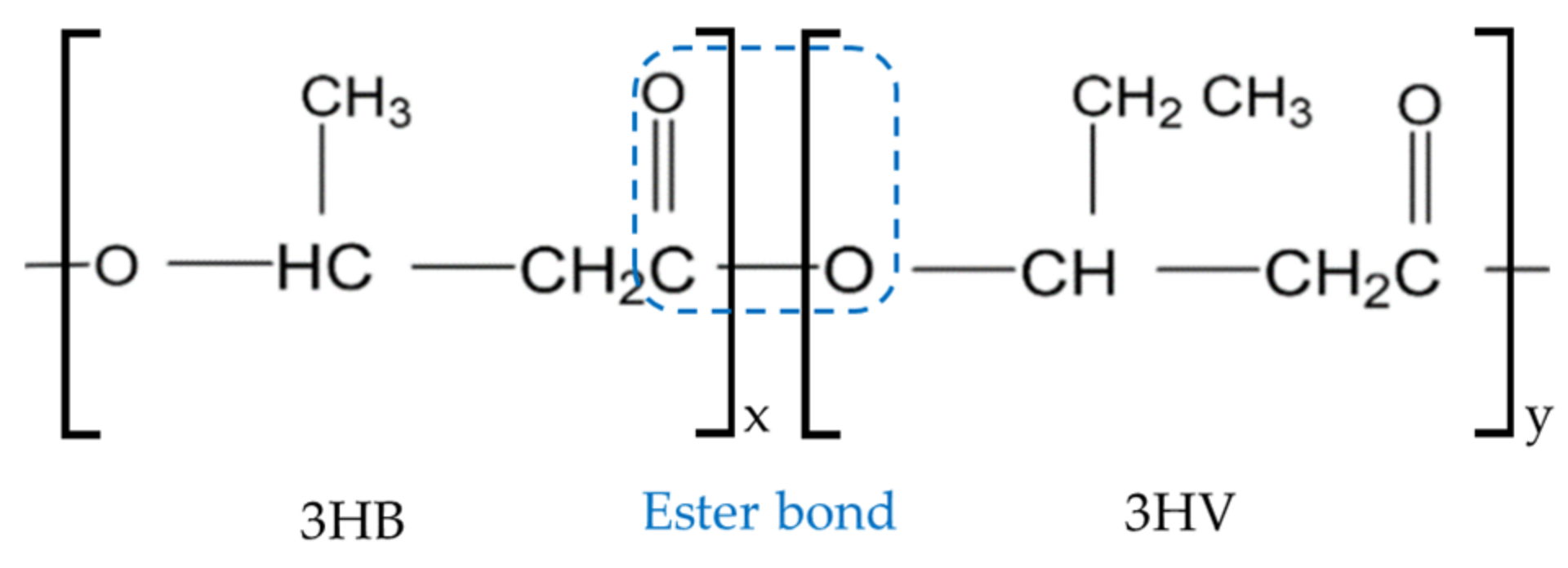 Polymers 16 02070 g001