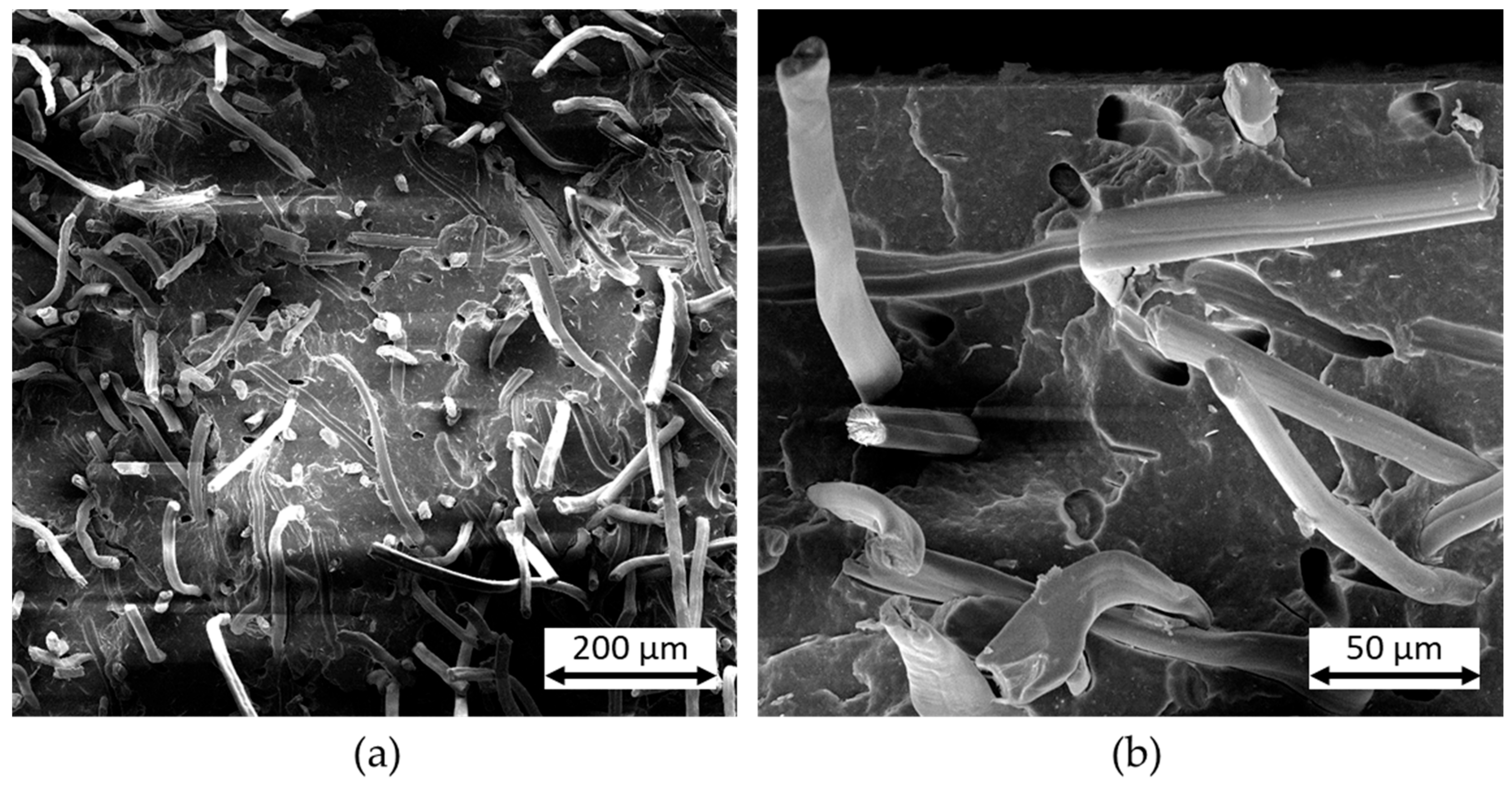 Polymers 16 02070 g003