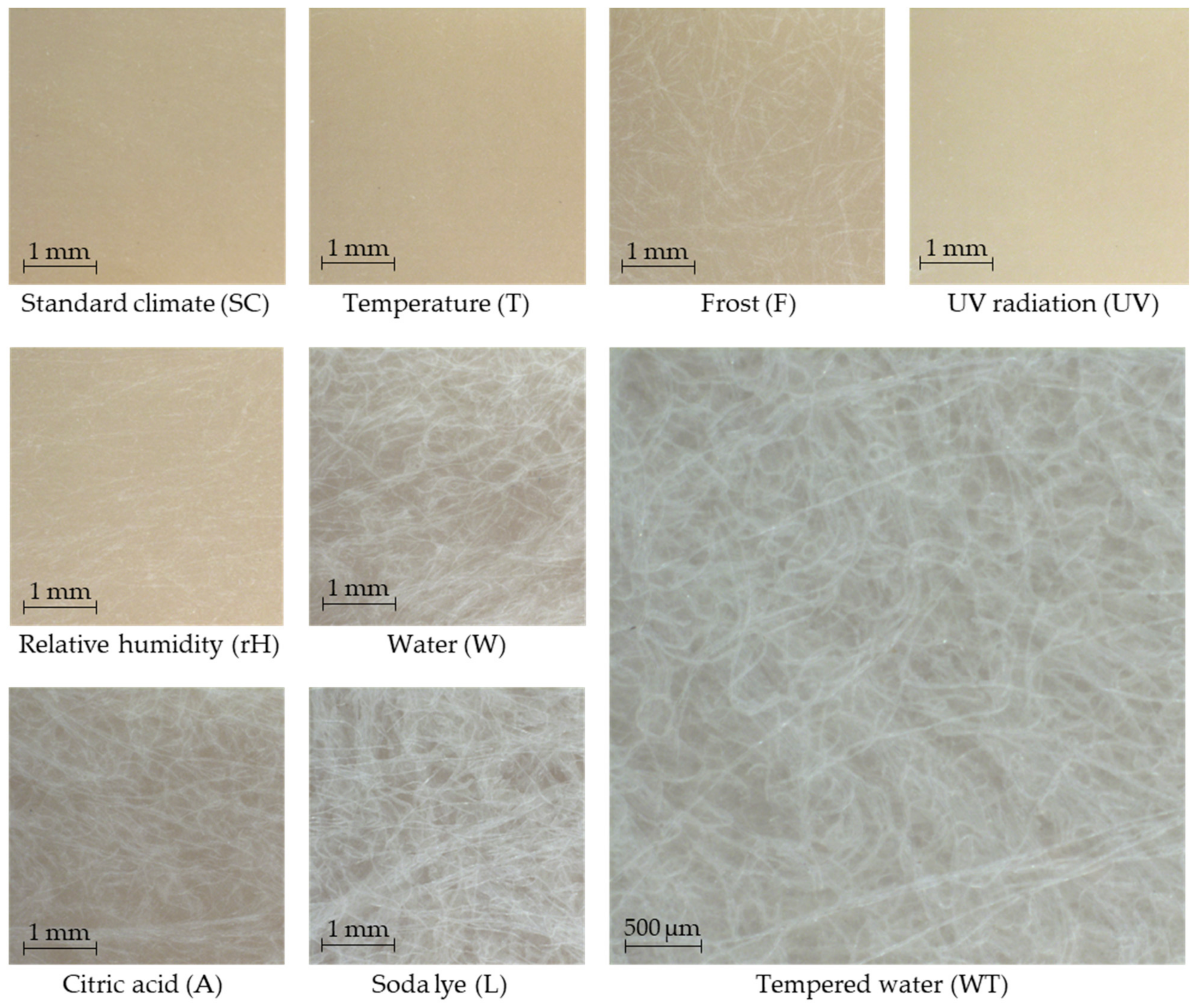 Polymers 16 02070 g006