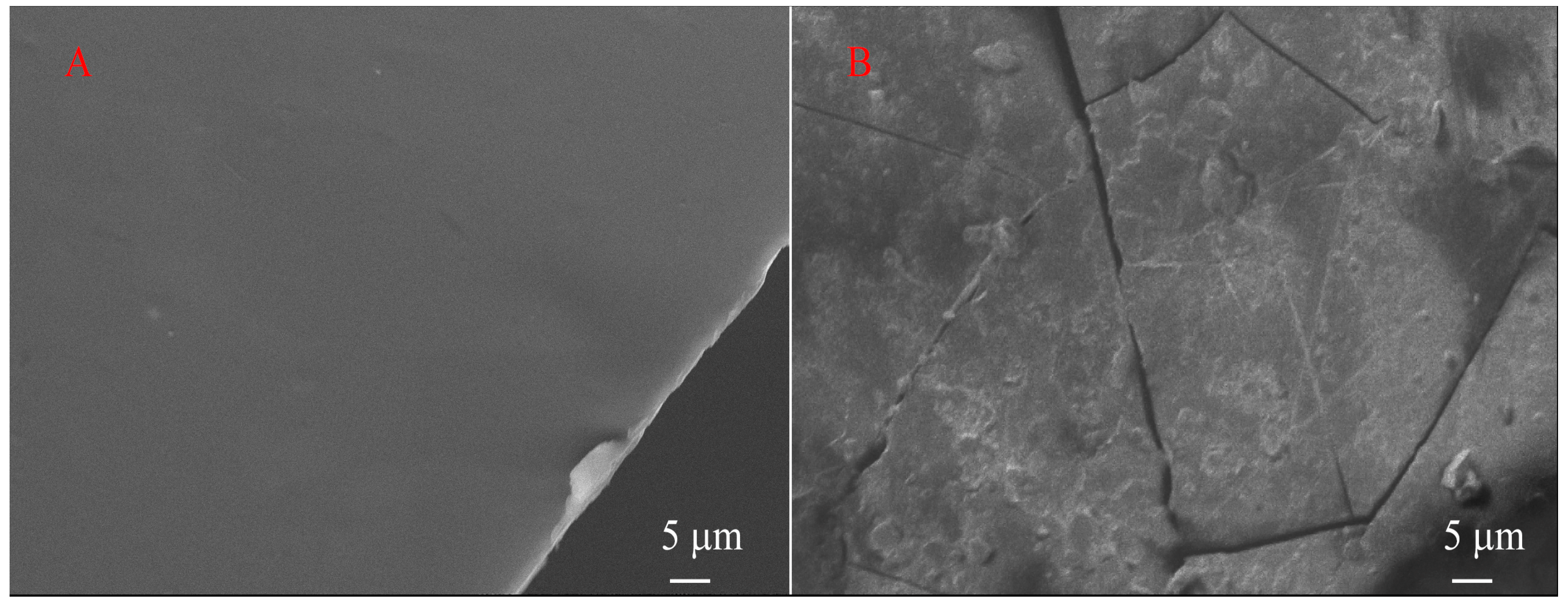 Polymers 16 02072 g010