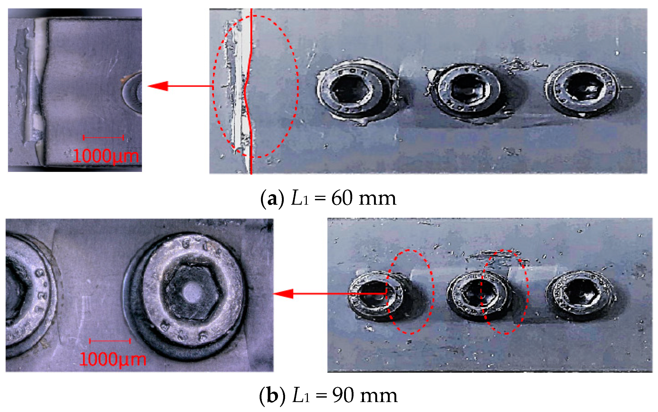 Polymers 16 02074 g002