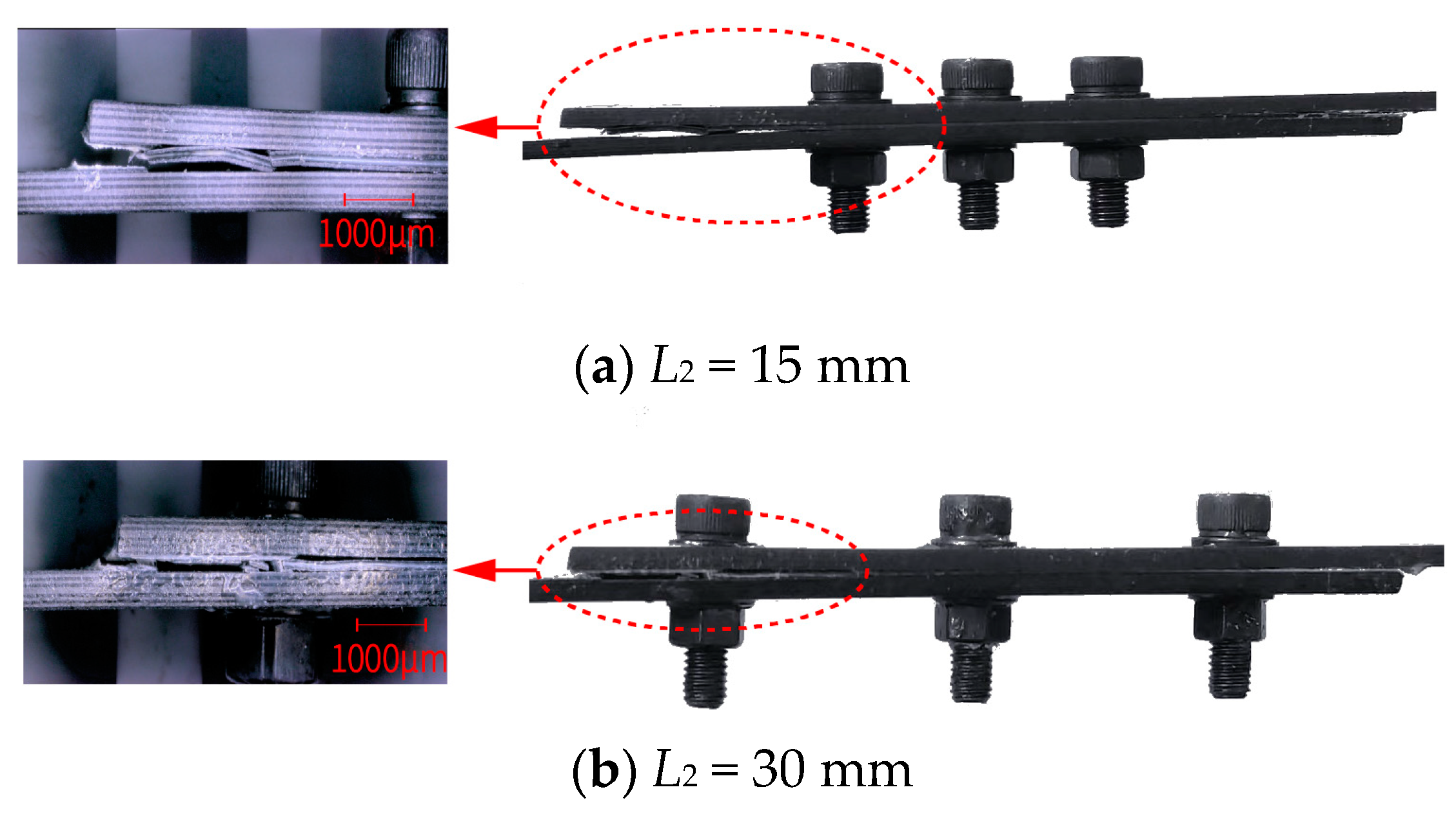 Polymers 16 02074 g003