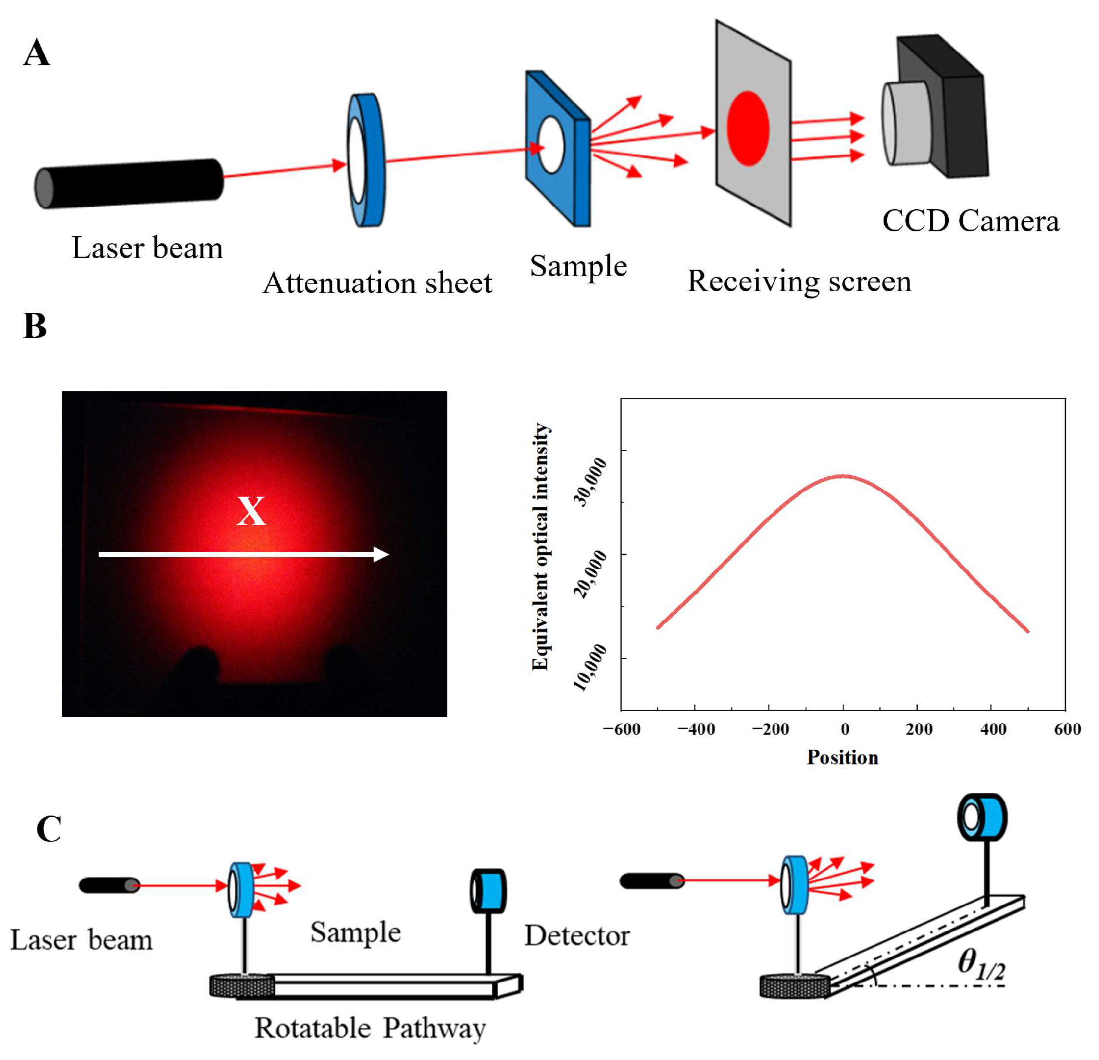 Polymers 16 02076 g002