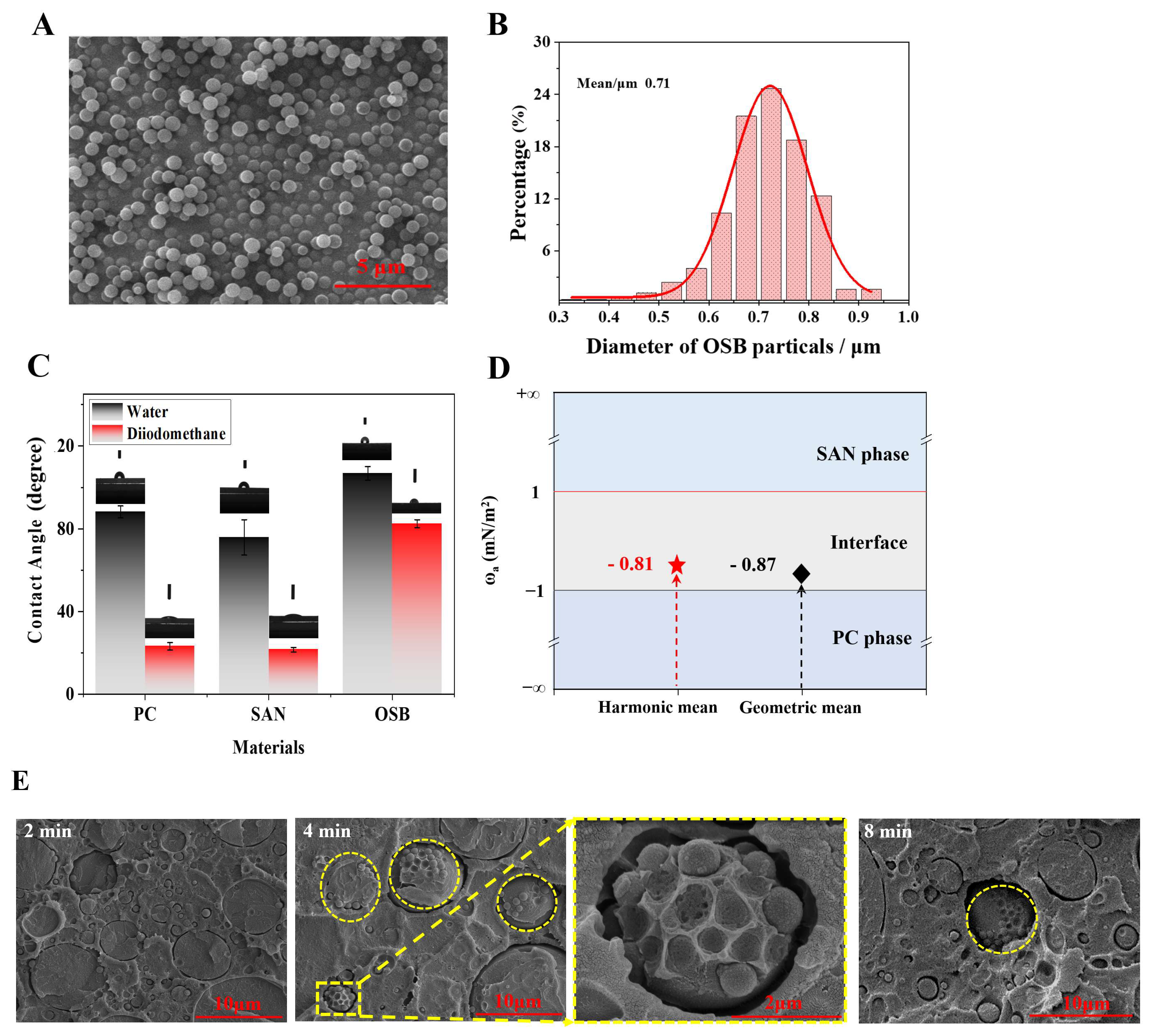 Polymers 16 02076 g003