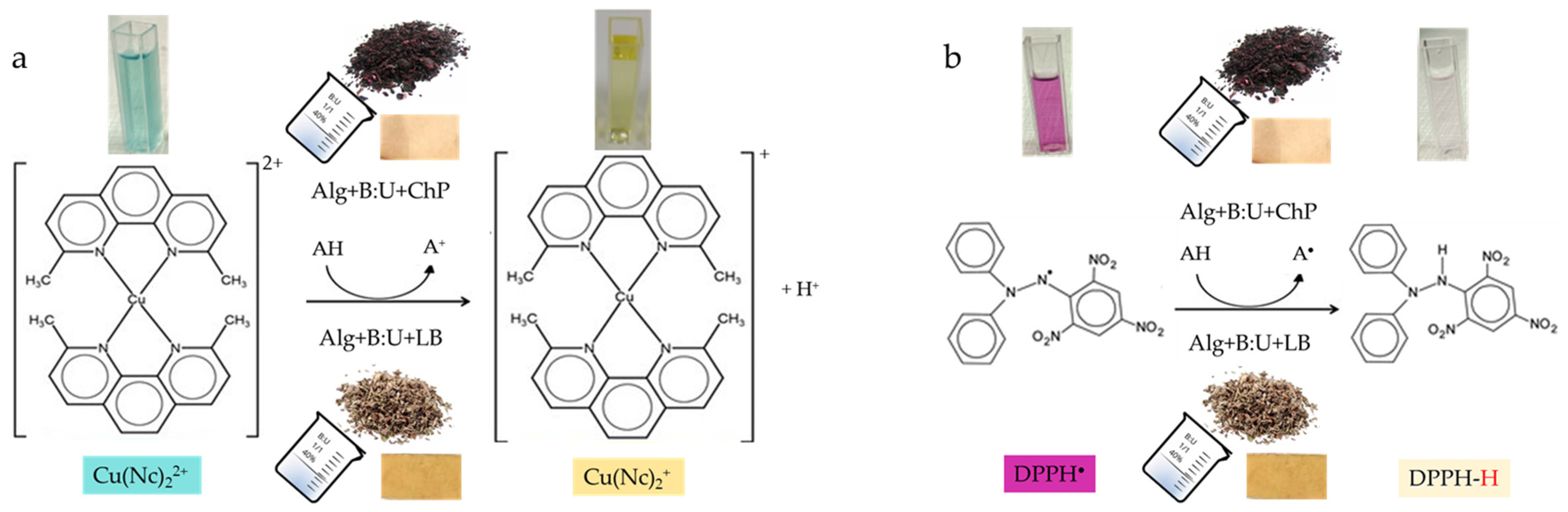 Polymers 16 02084 g001