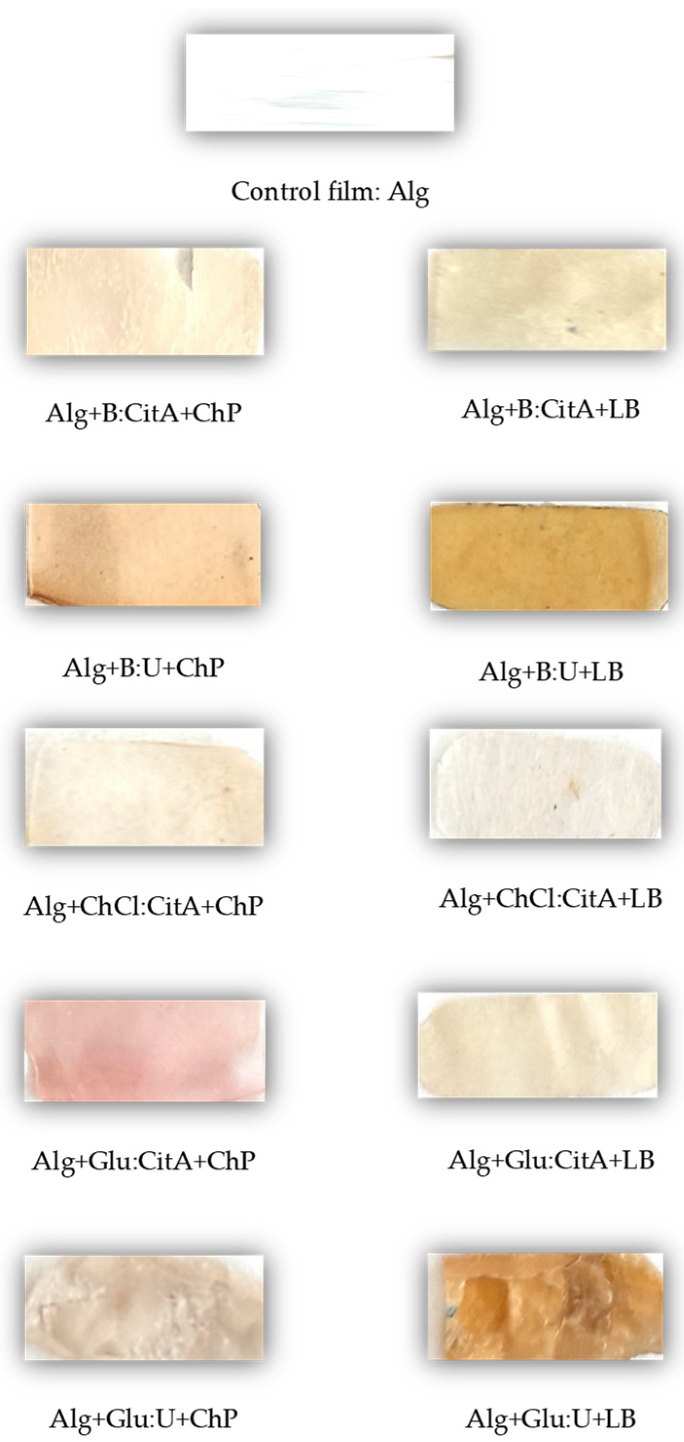 Polymers 16 02084 g002