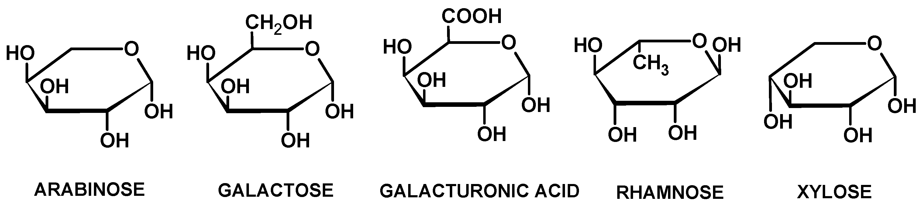 Polymers 16 02086 g001