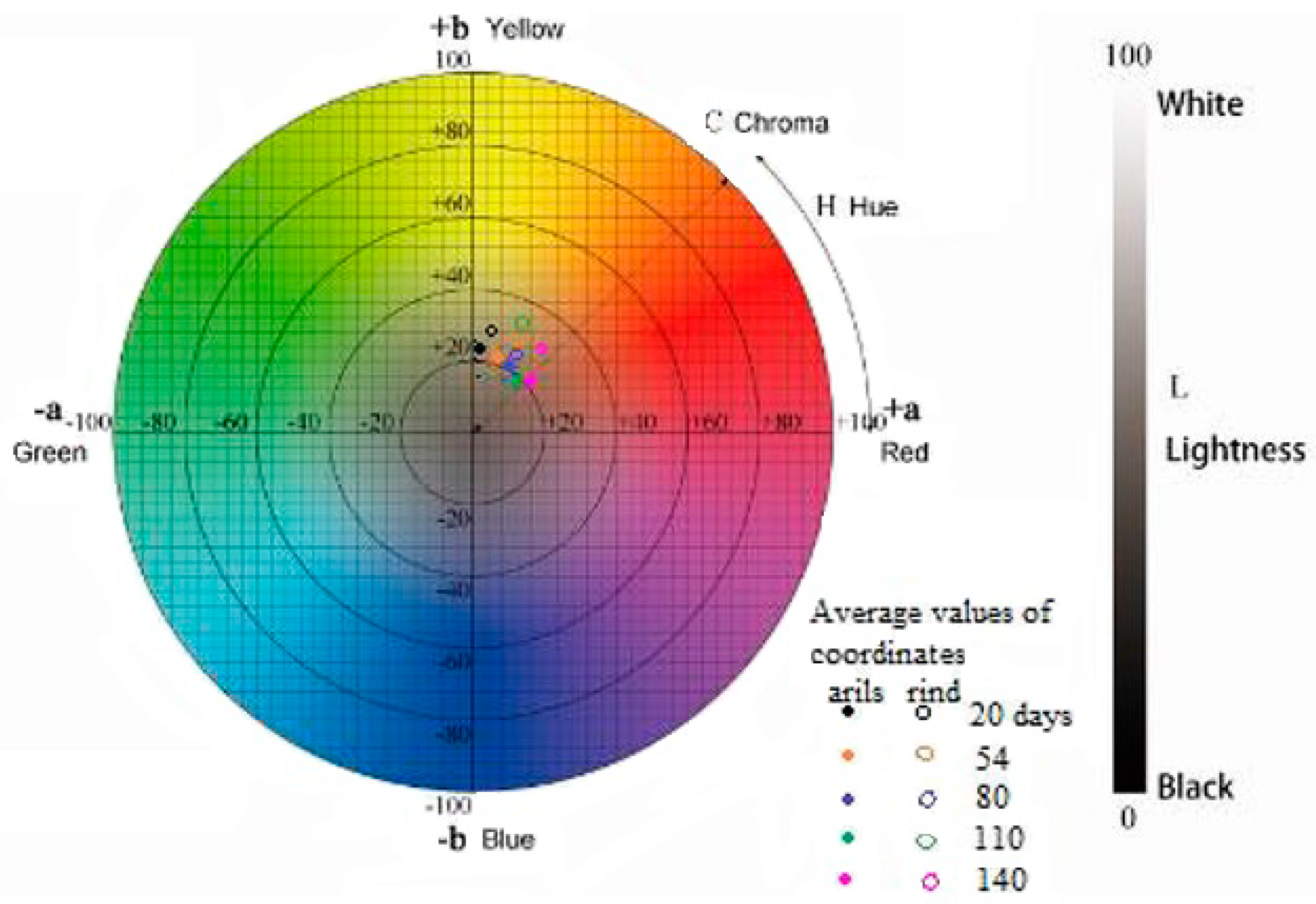 Polymers 16 02086 g006
