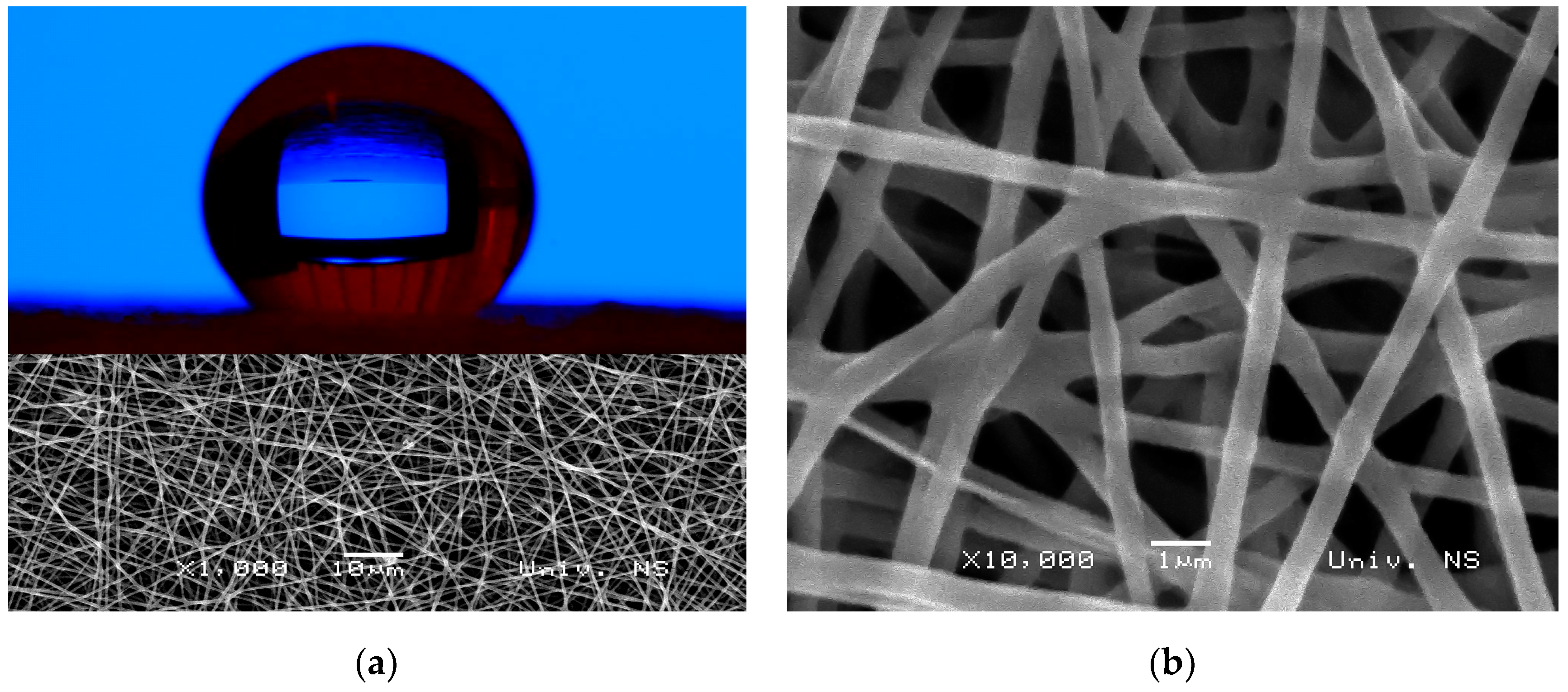 Polymers 16 02094 g004 Polymers 16 02094 g004