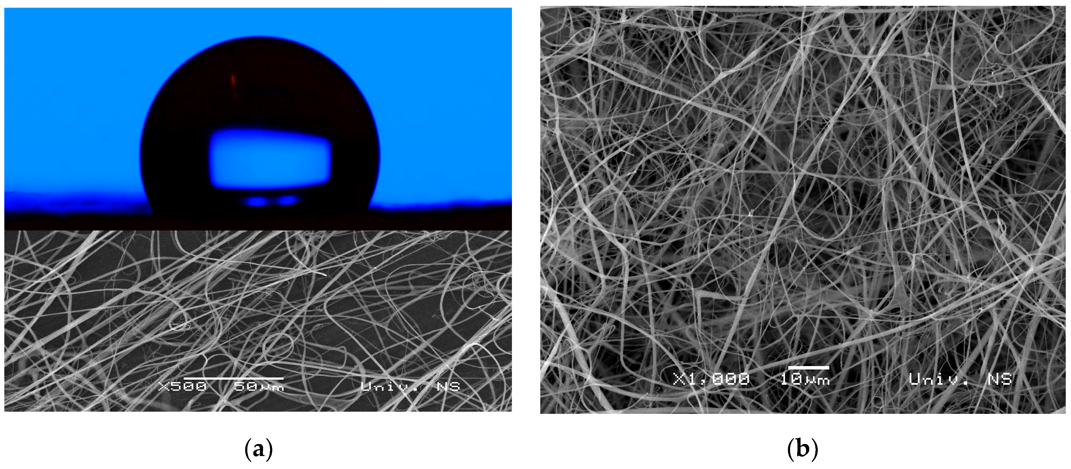 Polymers 16 02094 g005 Polymers 16 02094 g005