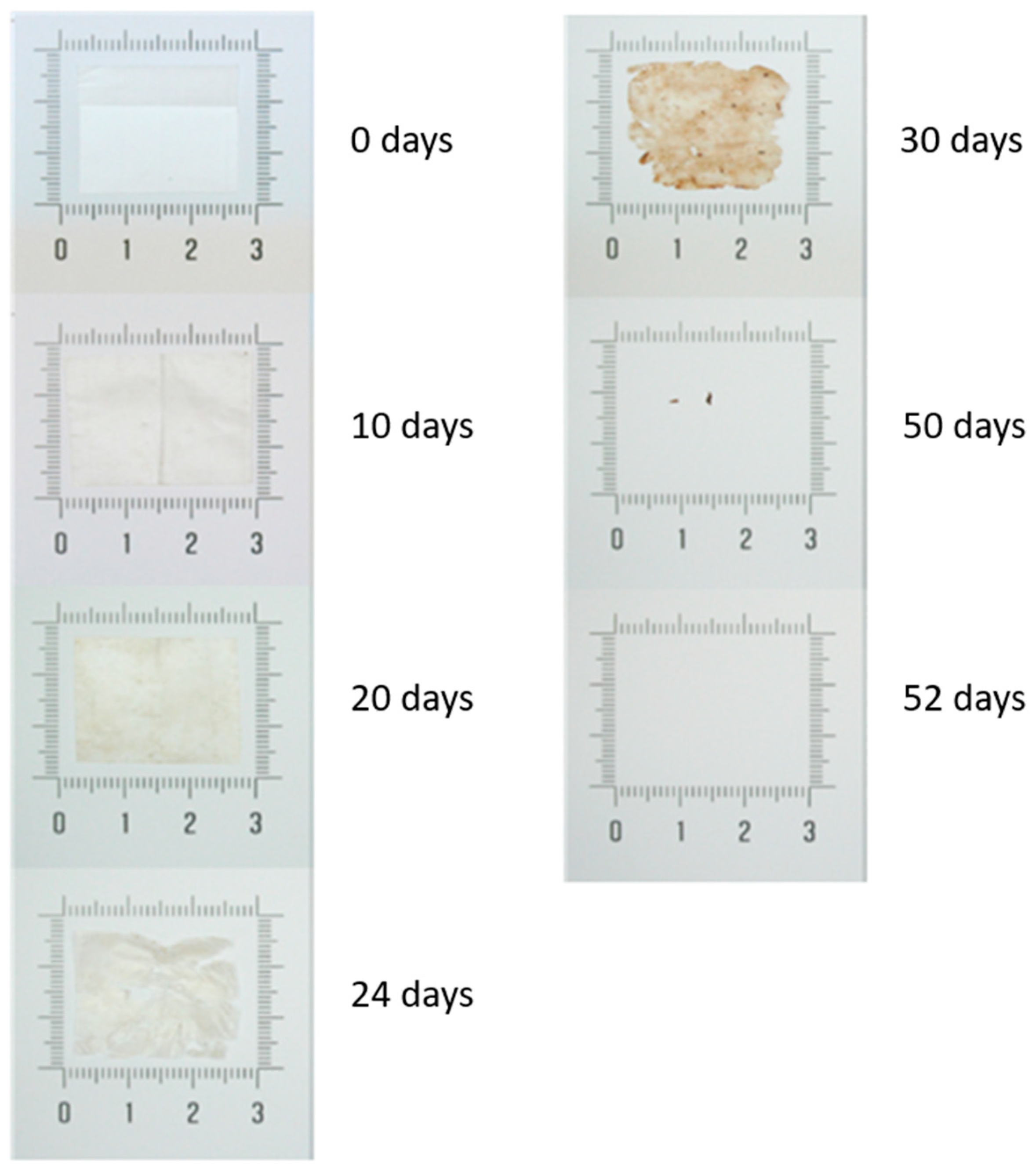 Polymers 16 02095 g004