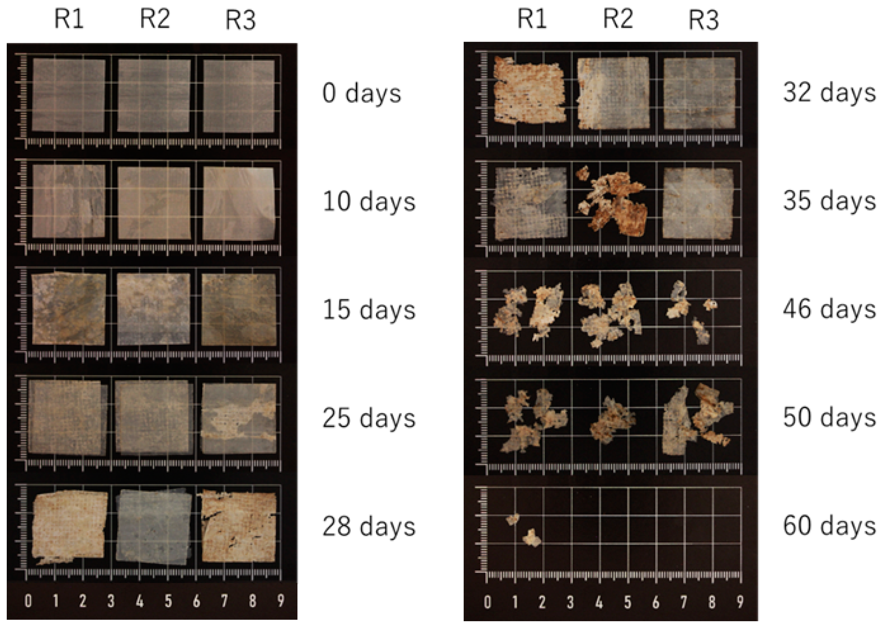 Polymers 16 02095 g005