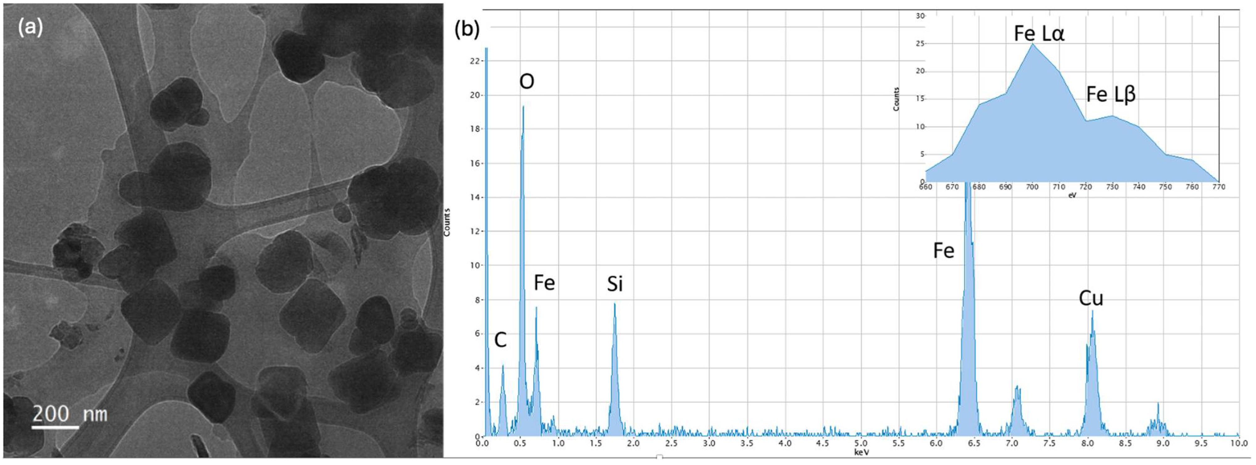Polymers 16 02096 g005