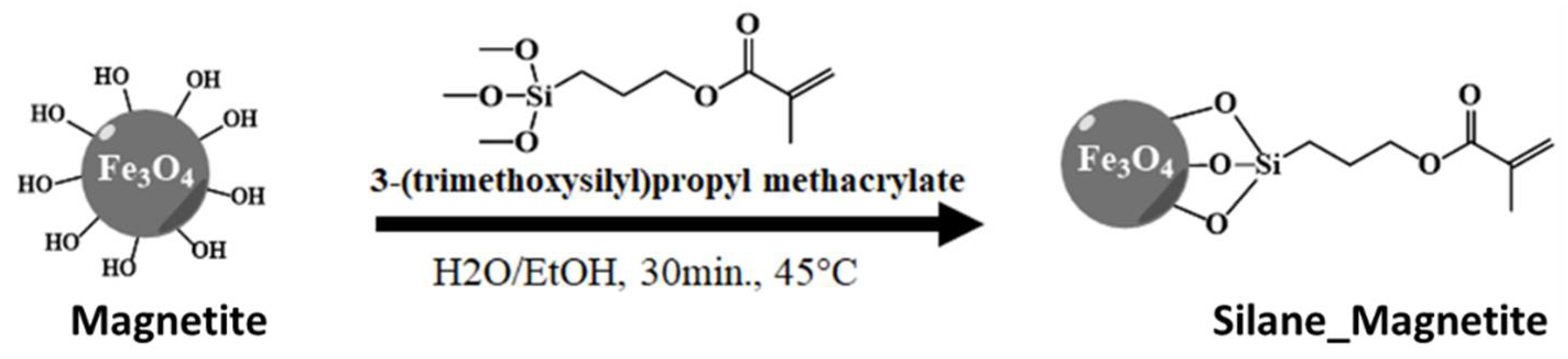 Polymers 16 02096 sch001