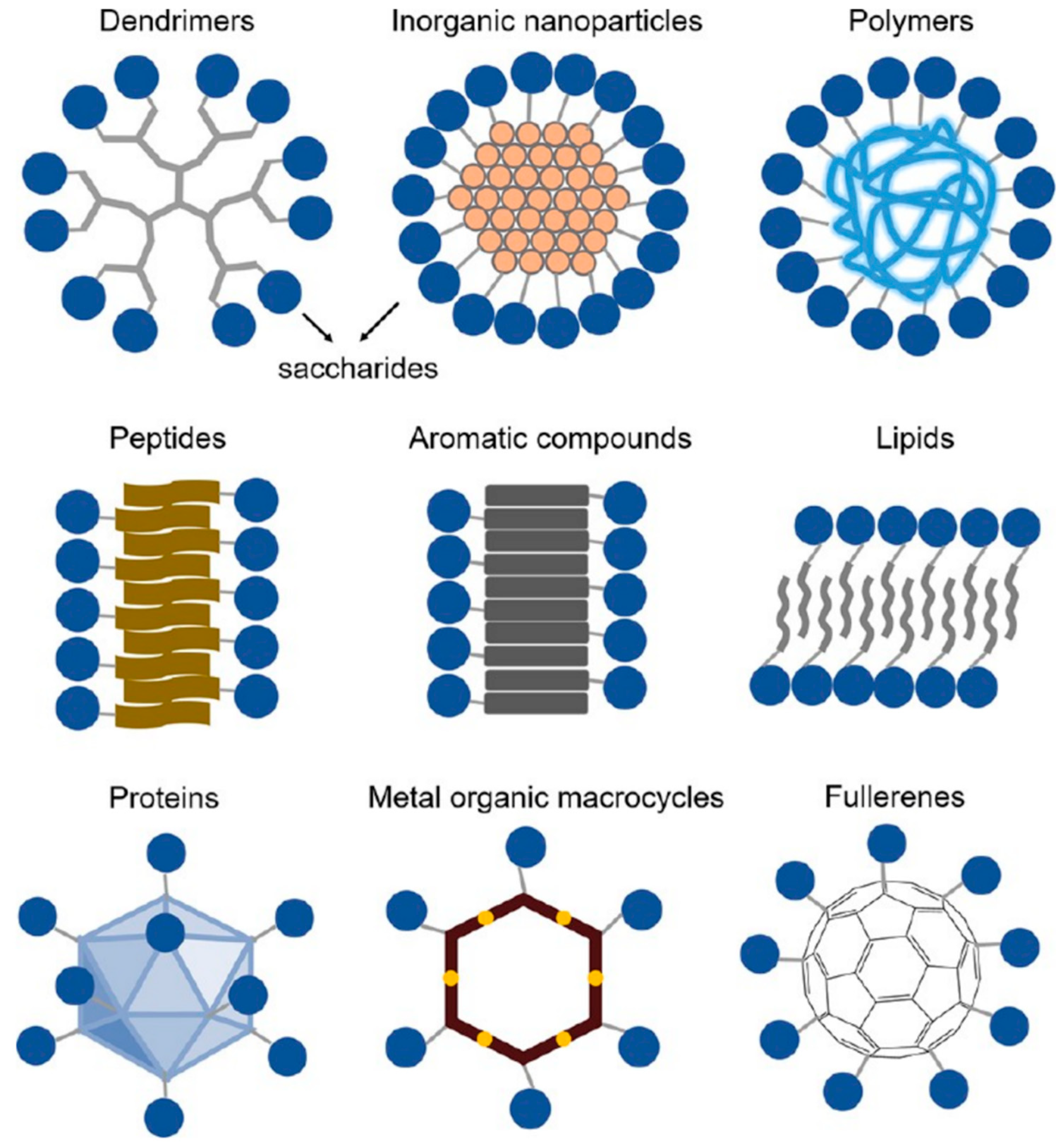 Polymers 16 02097 g001