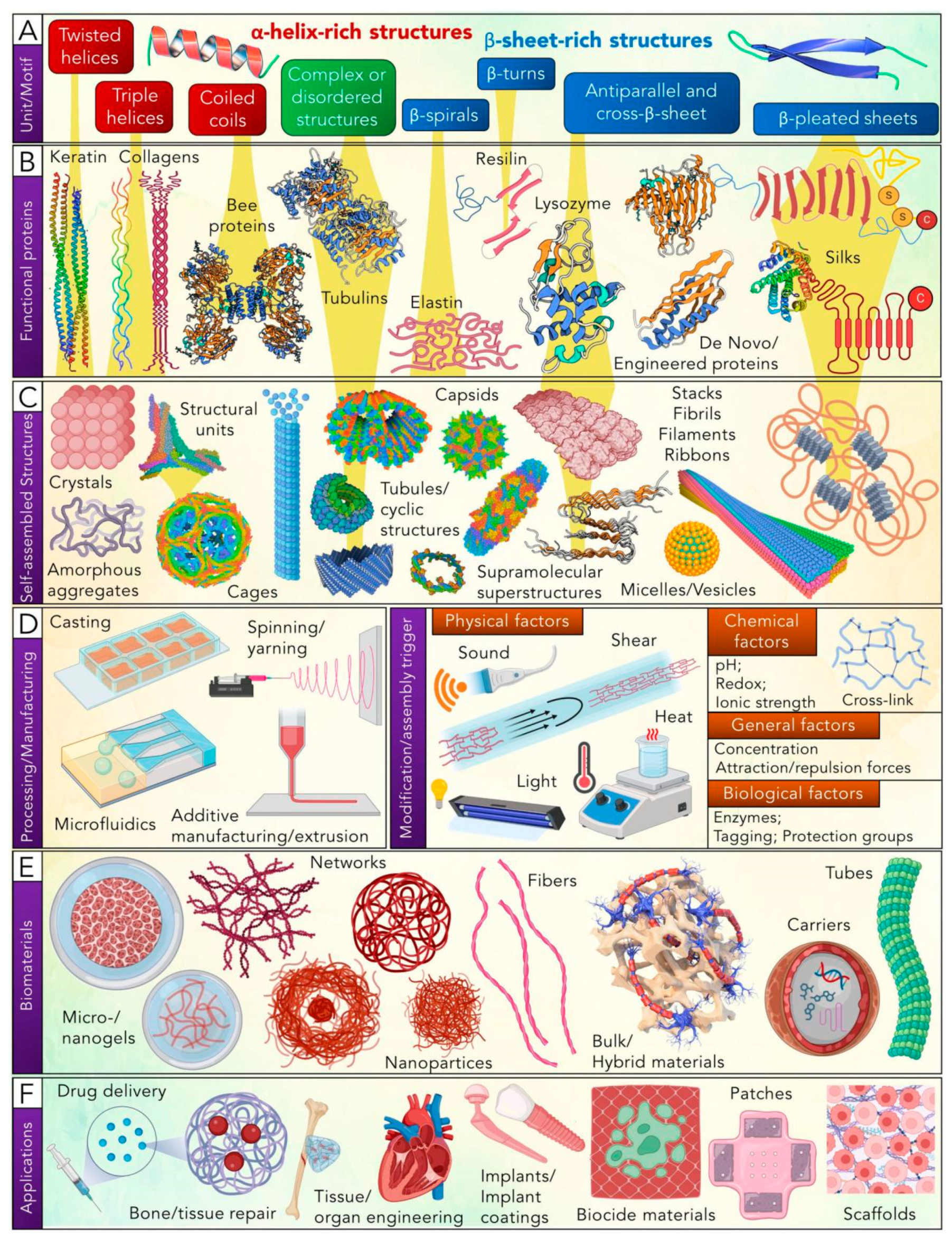 Polymers 16 02097 g003