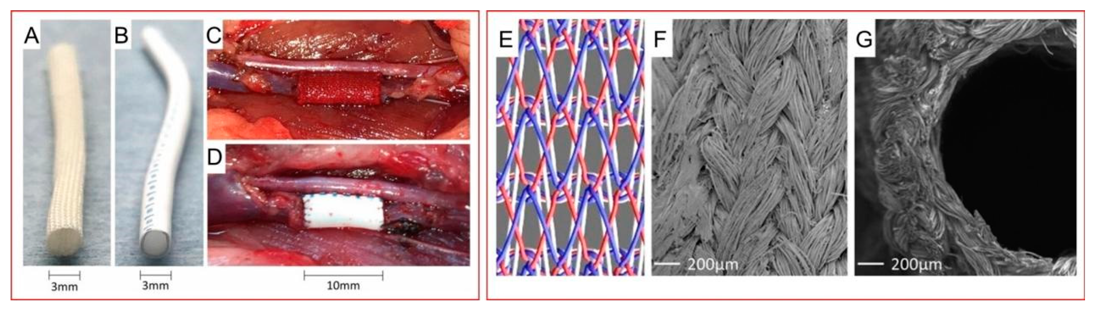 Polymers 16 02097 g004