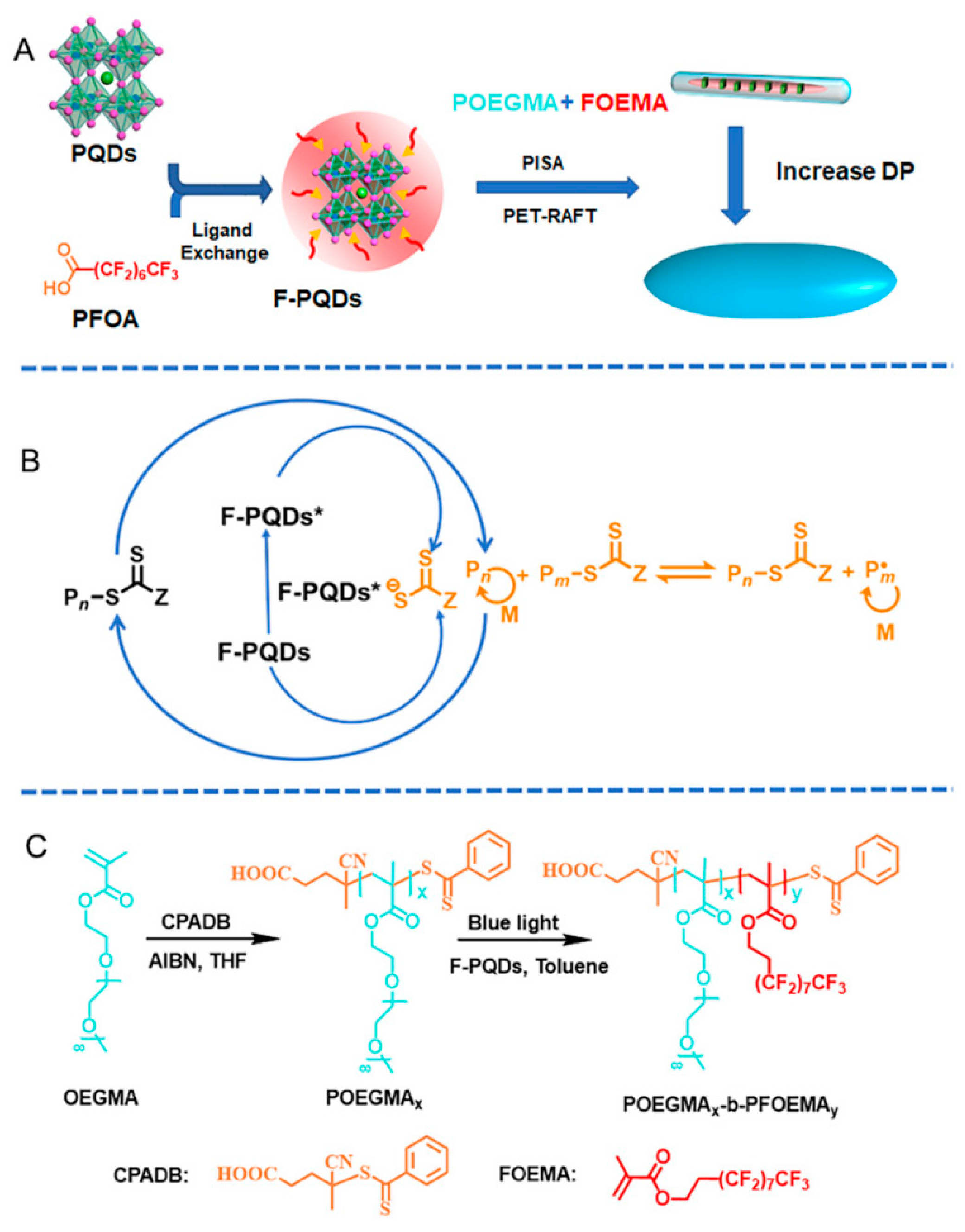 Polymers 16 02097 g007