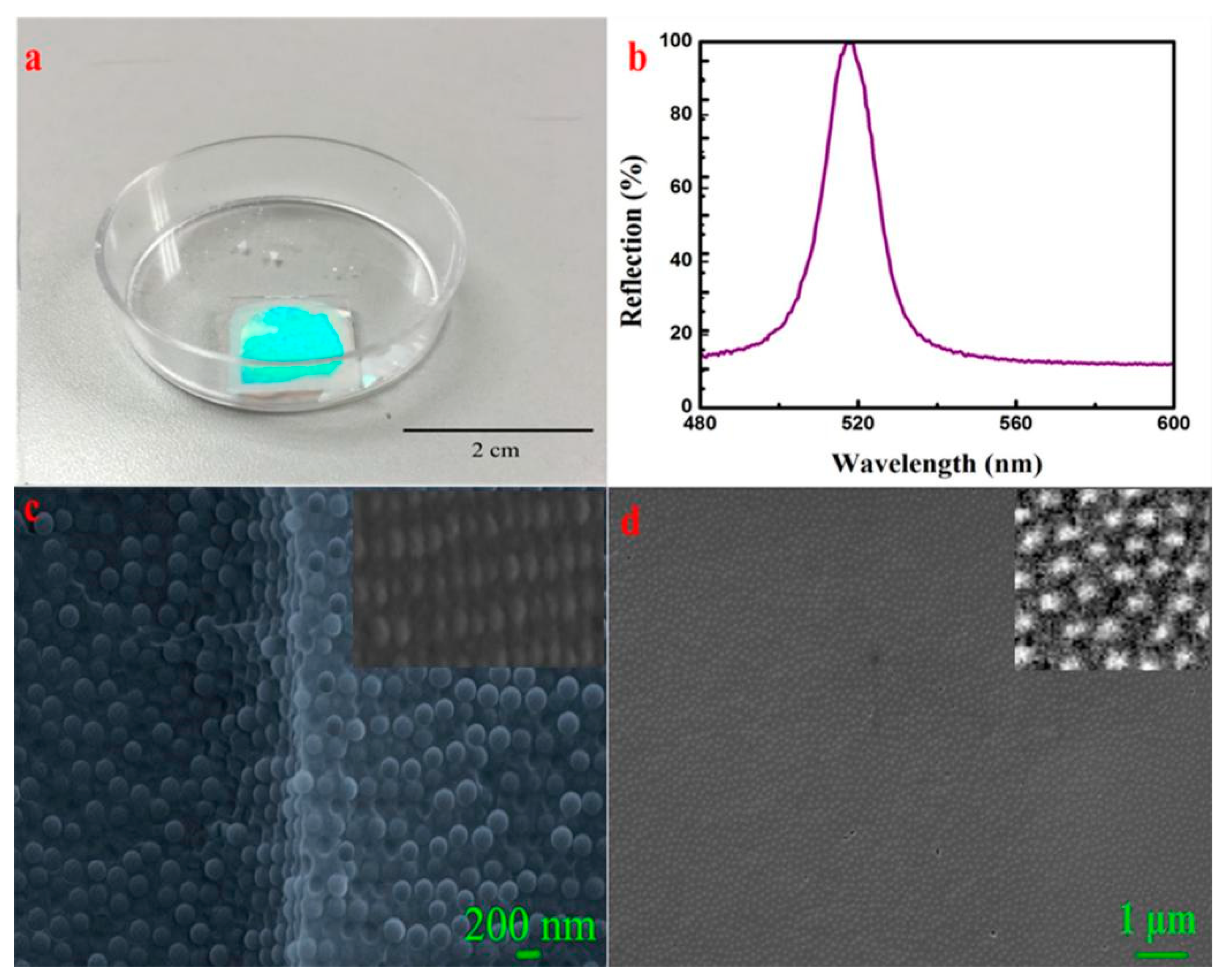 Polymers 16 02097 g008