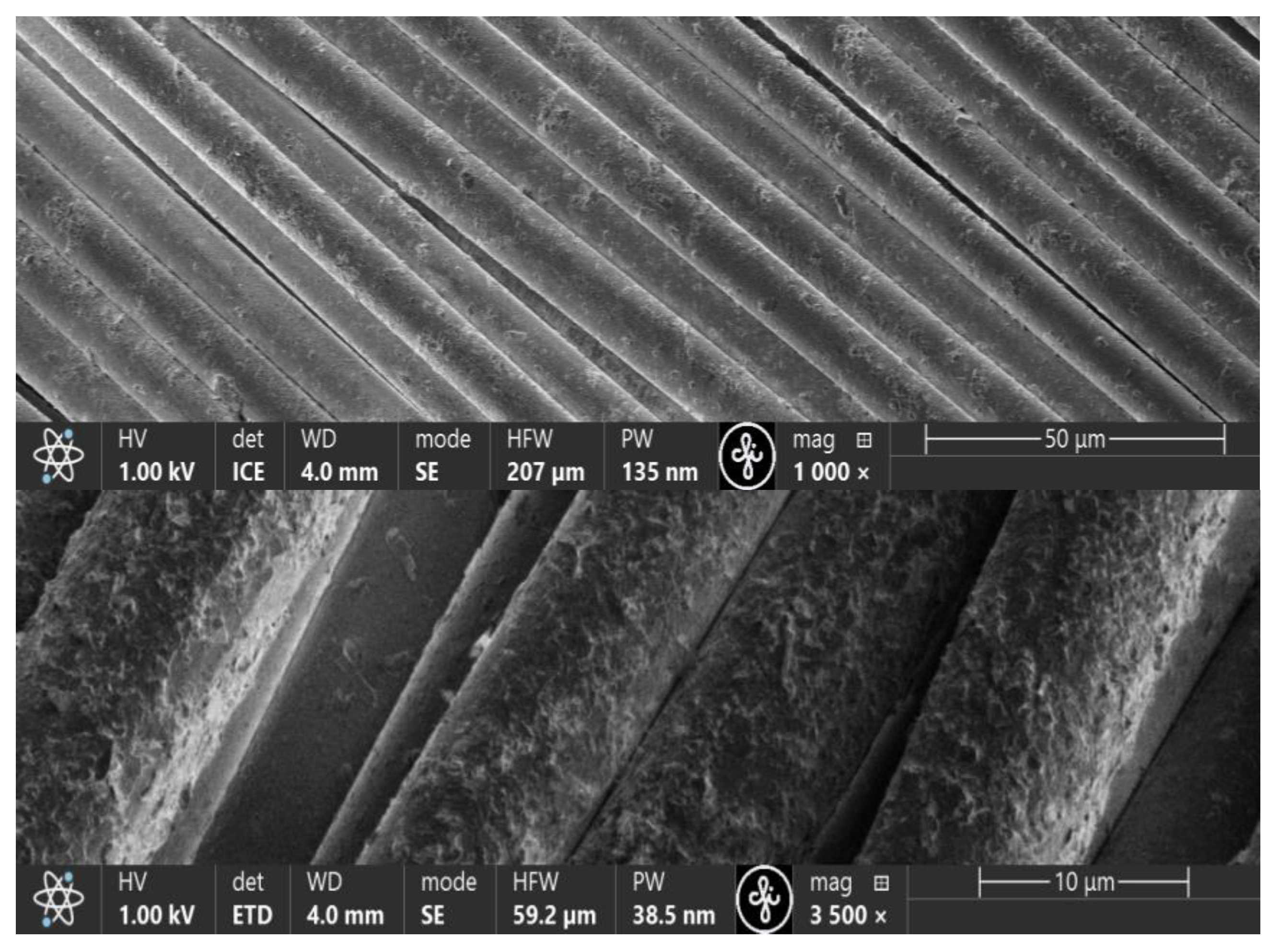 Polymers 16 02106 g006