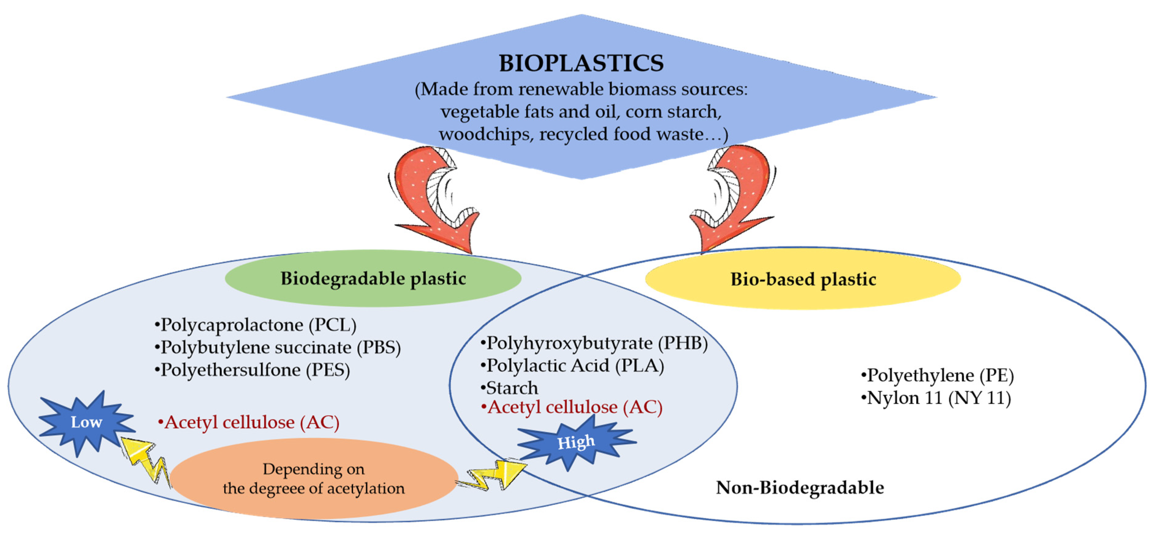 Polymers 16 02109 g002