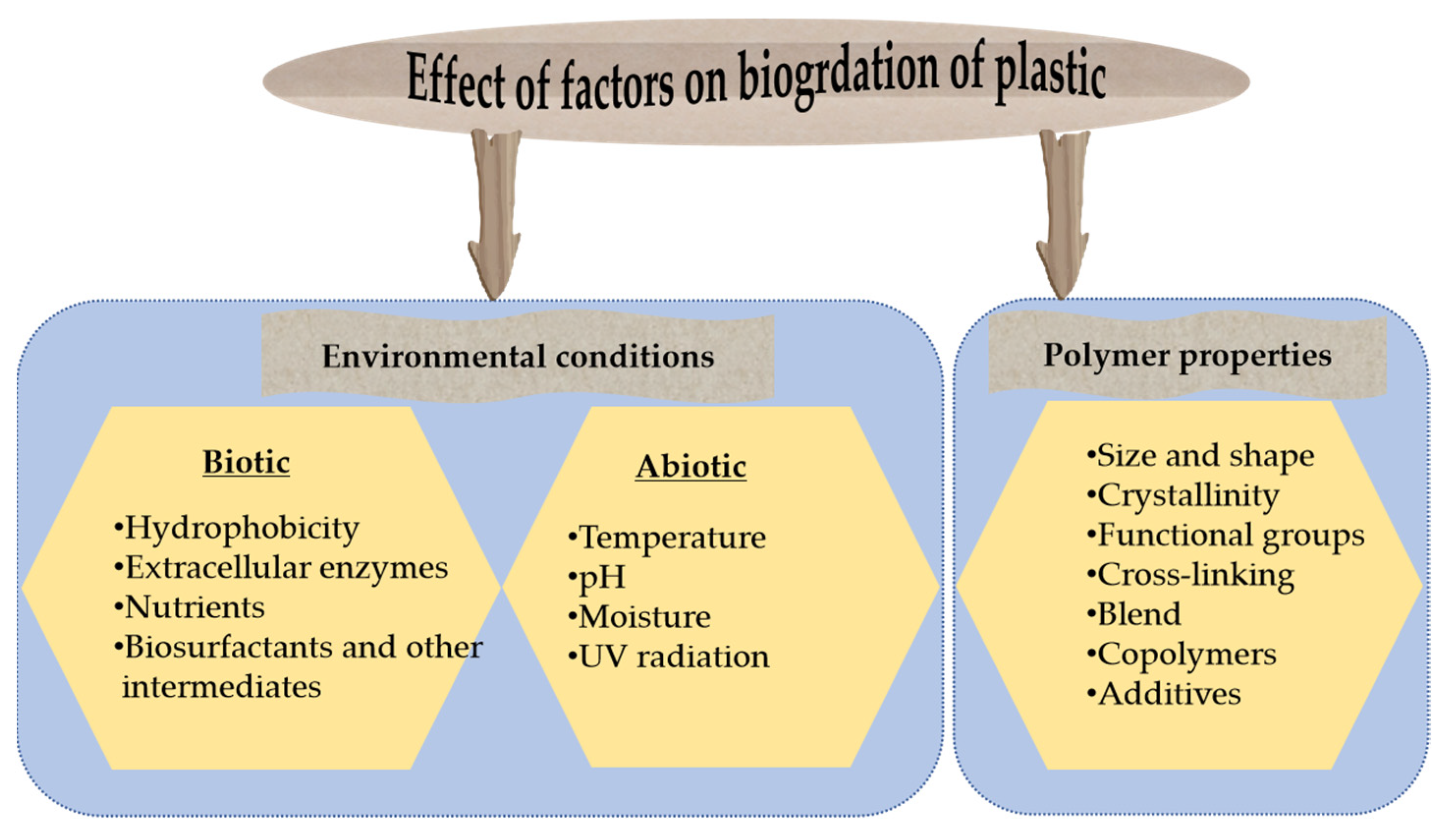 Polymers 16 02109 g004