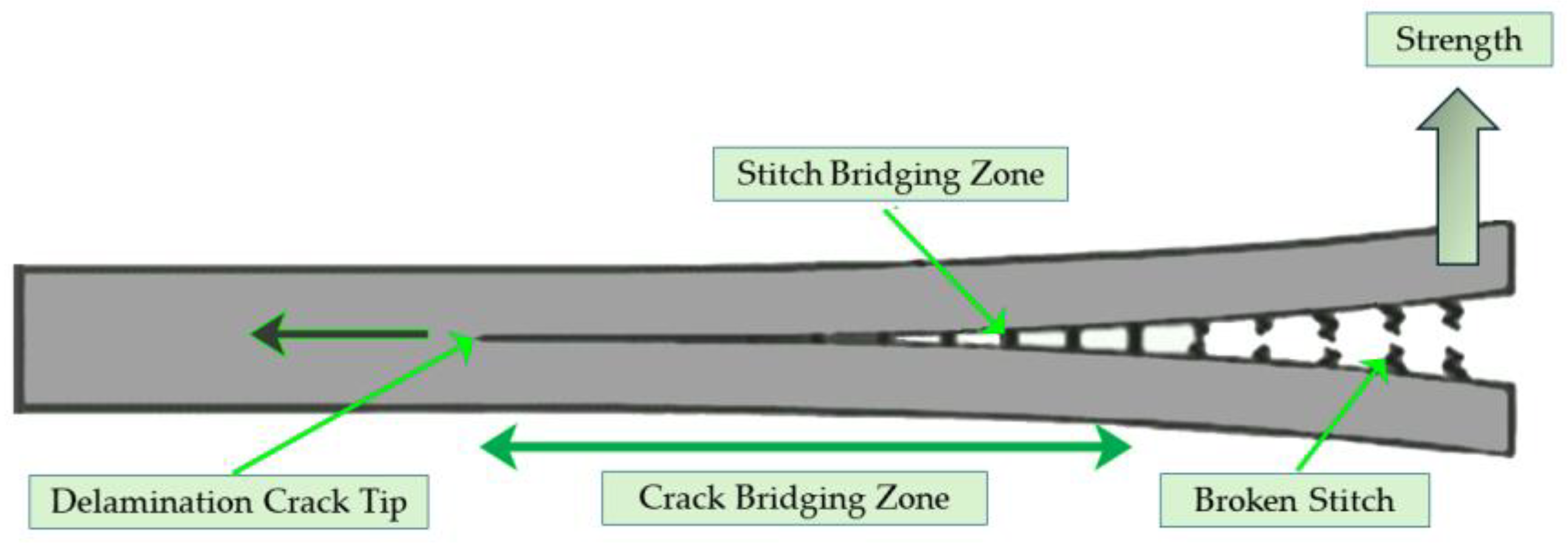 Polymers 16 02115 g004