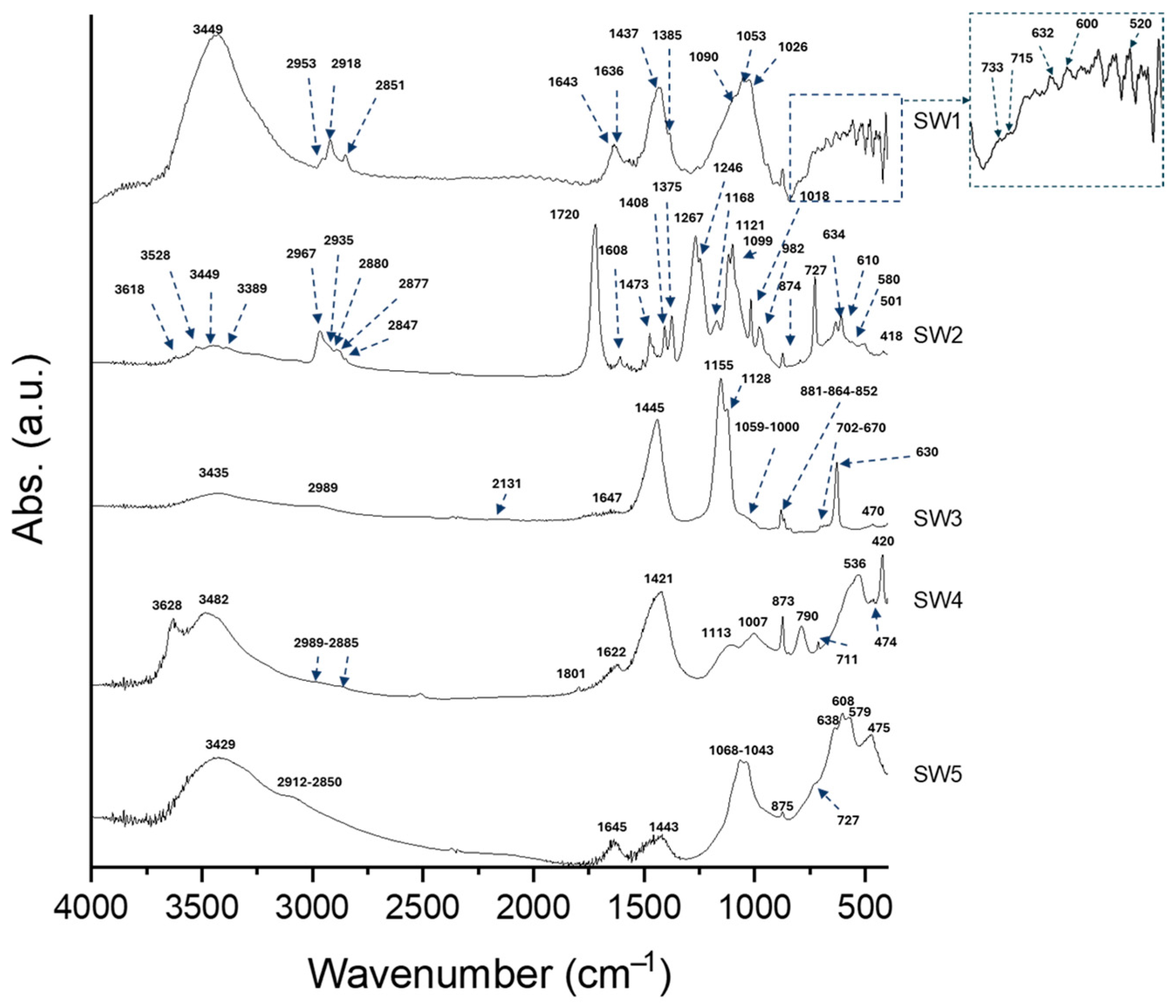Polymers 16 02118 g004
