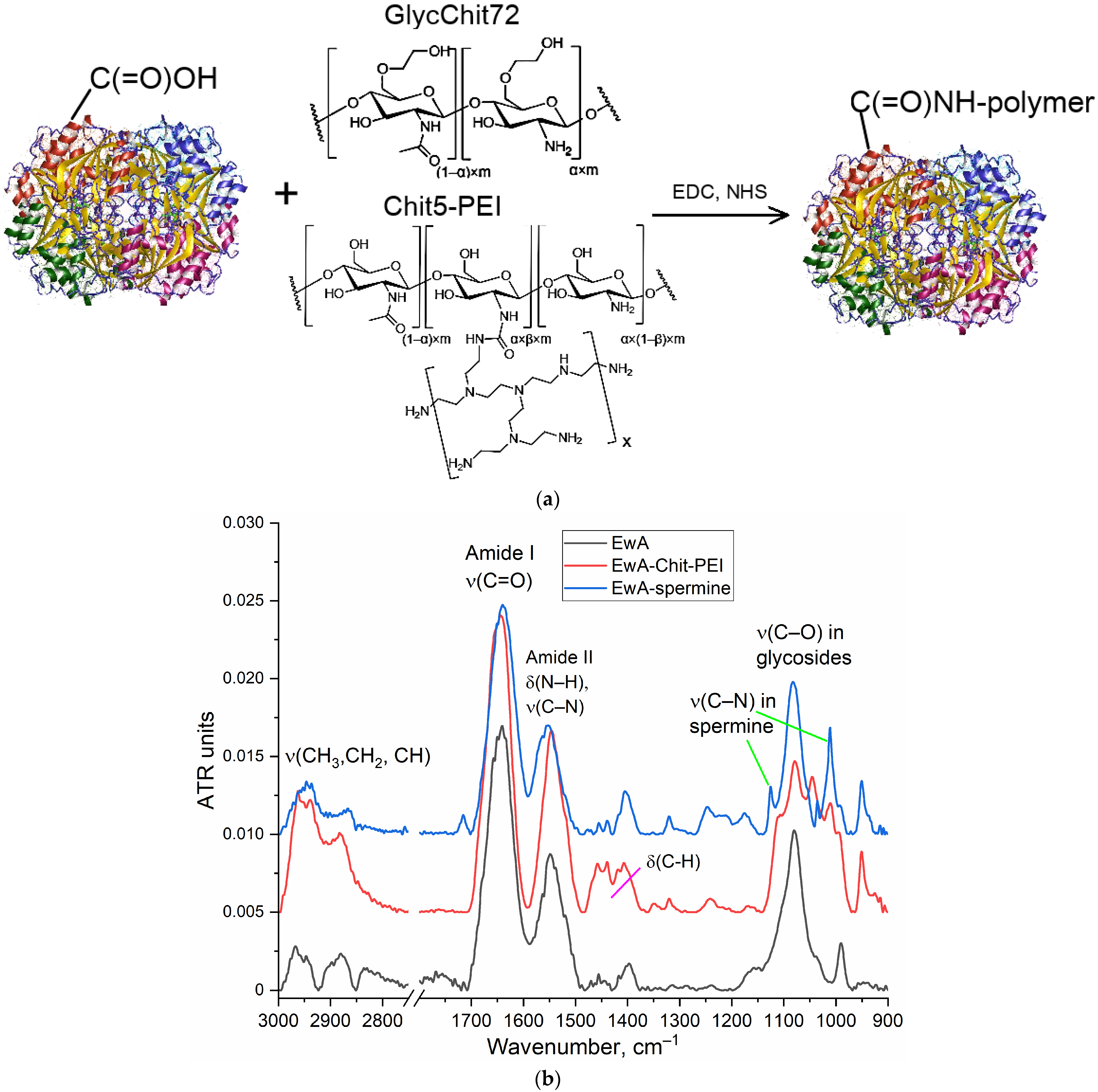 Polymers 16 02132 g001
